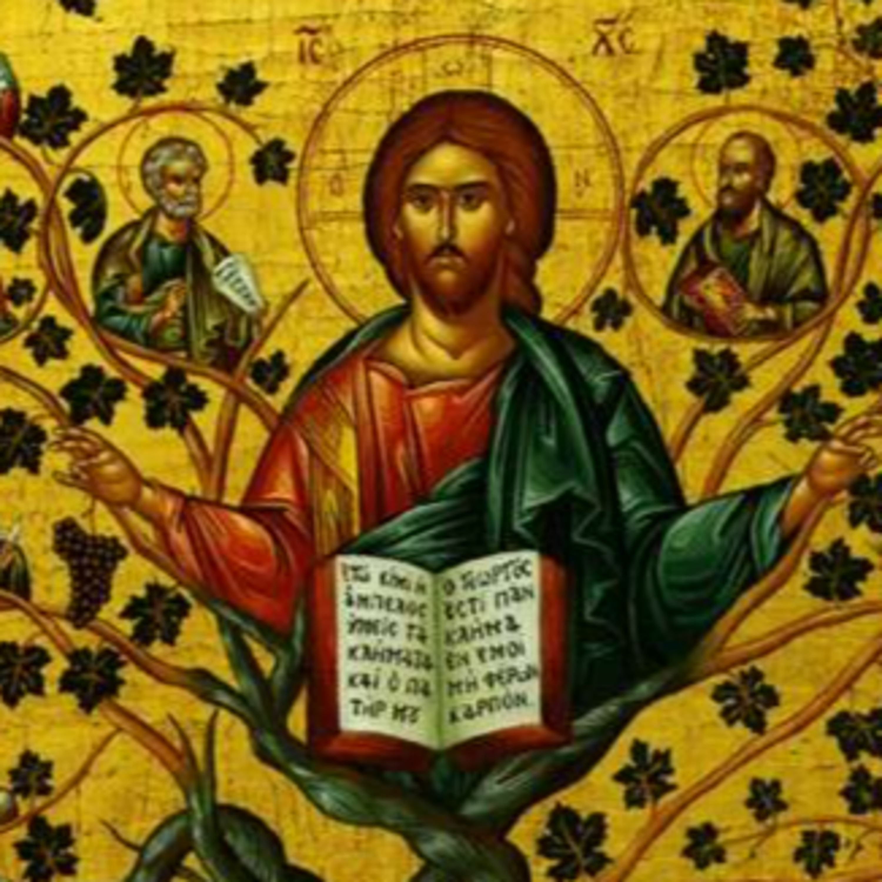 "I am the vine, you are the branches." | Wednesday of the Fifth Week of Easter episode artwork