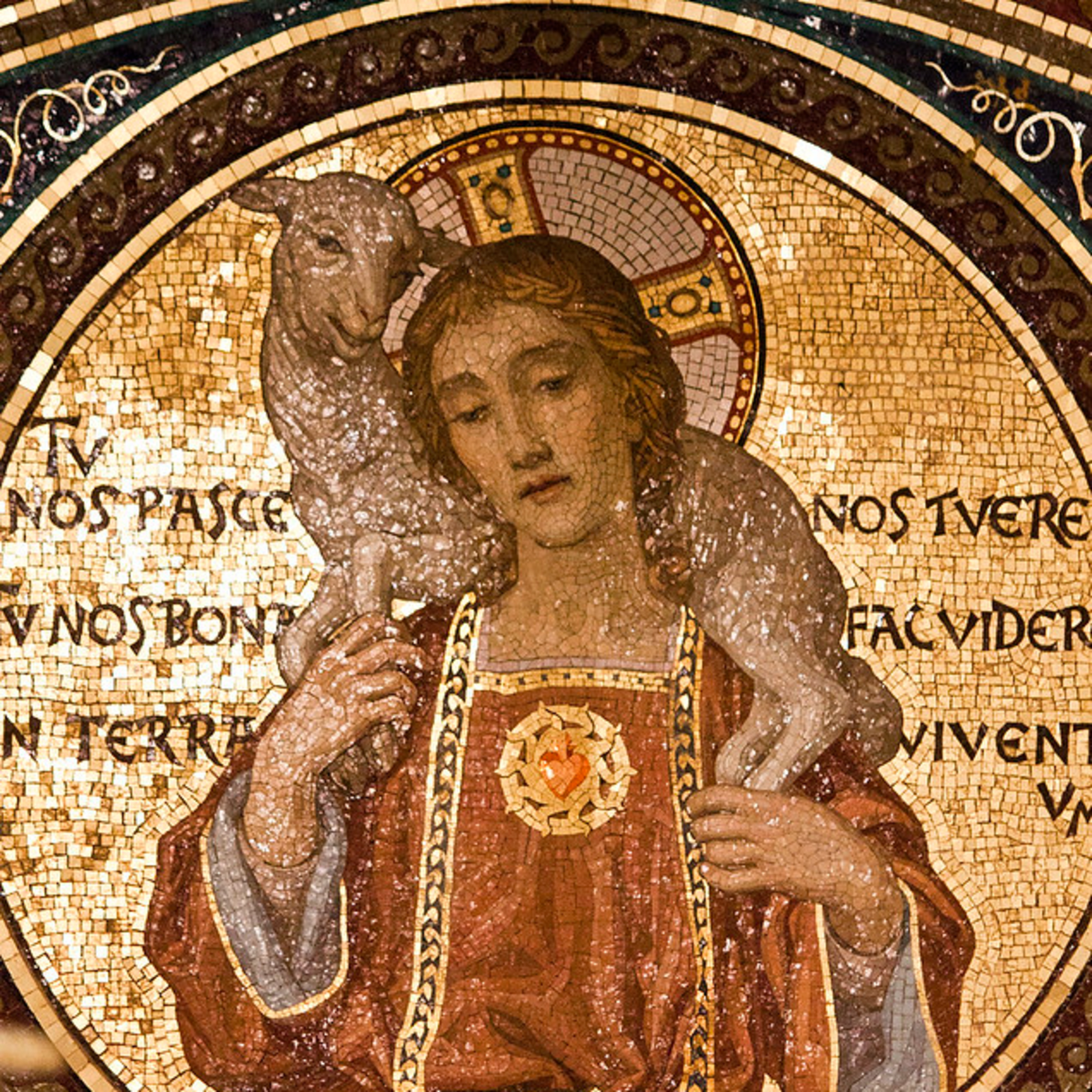 “His heart was moved with pity for them.” | Tuesday of the Fourteenth Week in Ordinary Time episode artwork