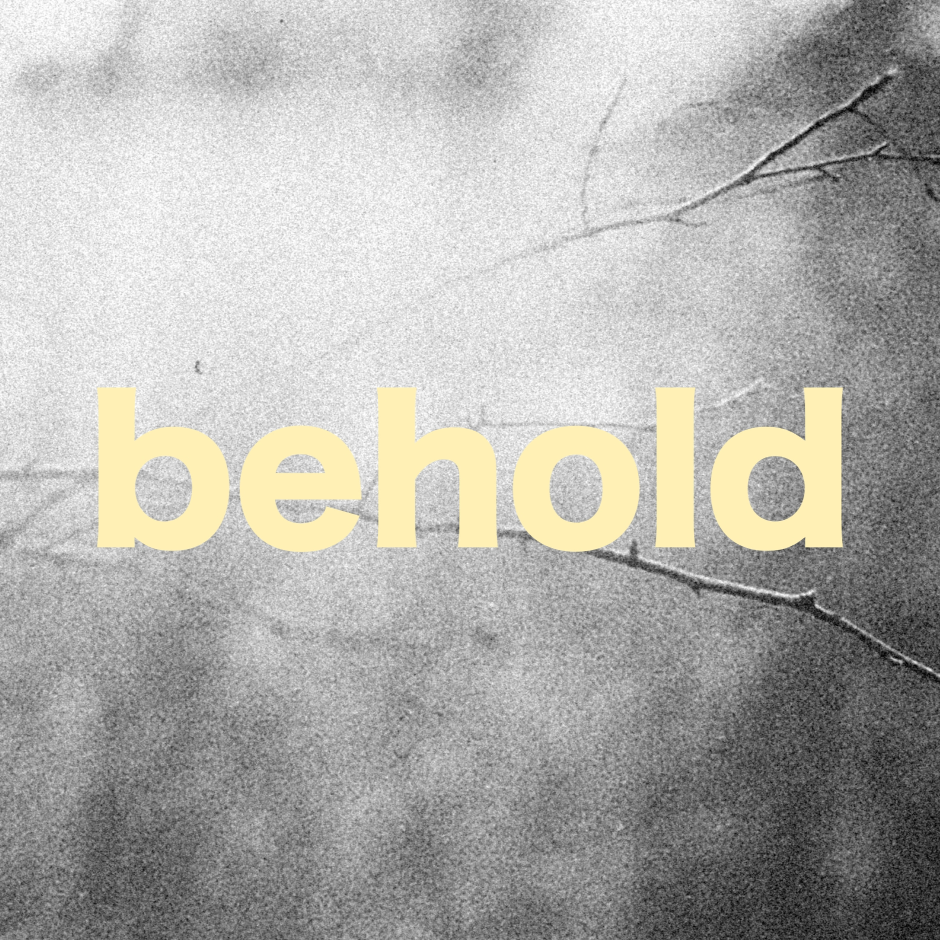 Invitation to Behold episode artwork
