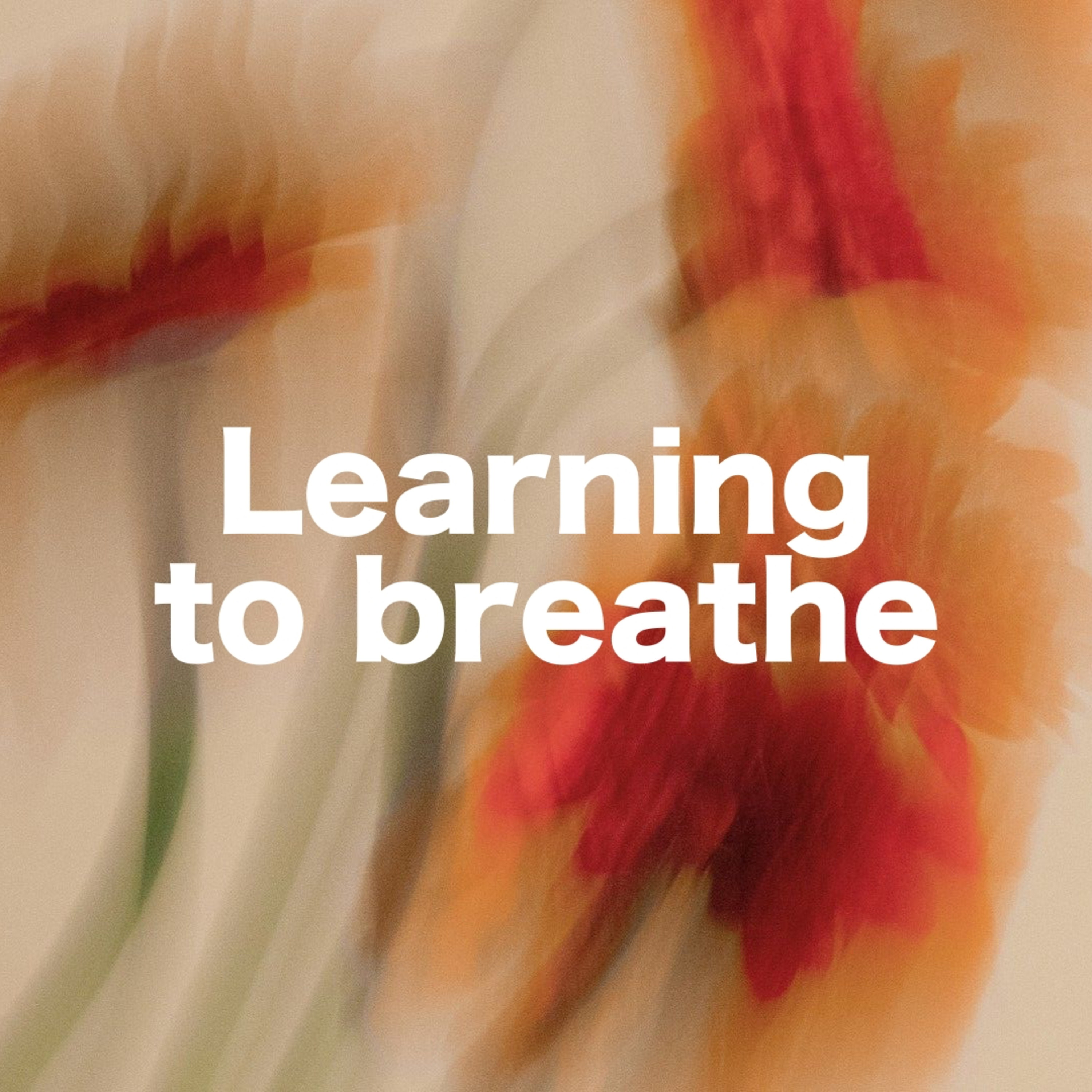Learning to breath  episode artwork