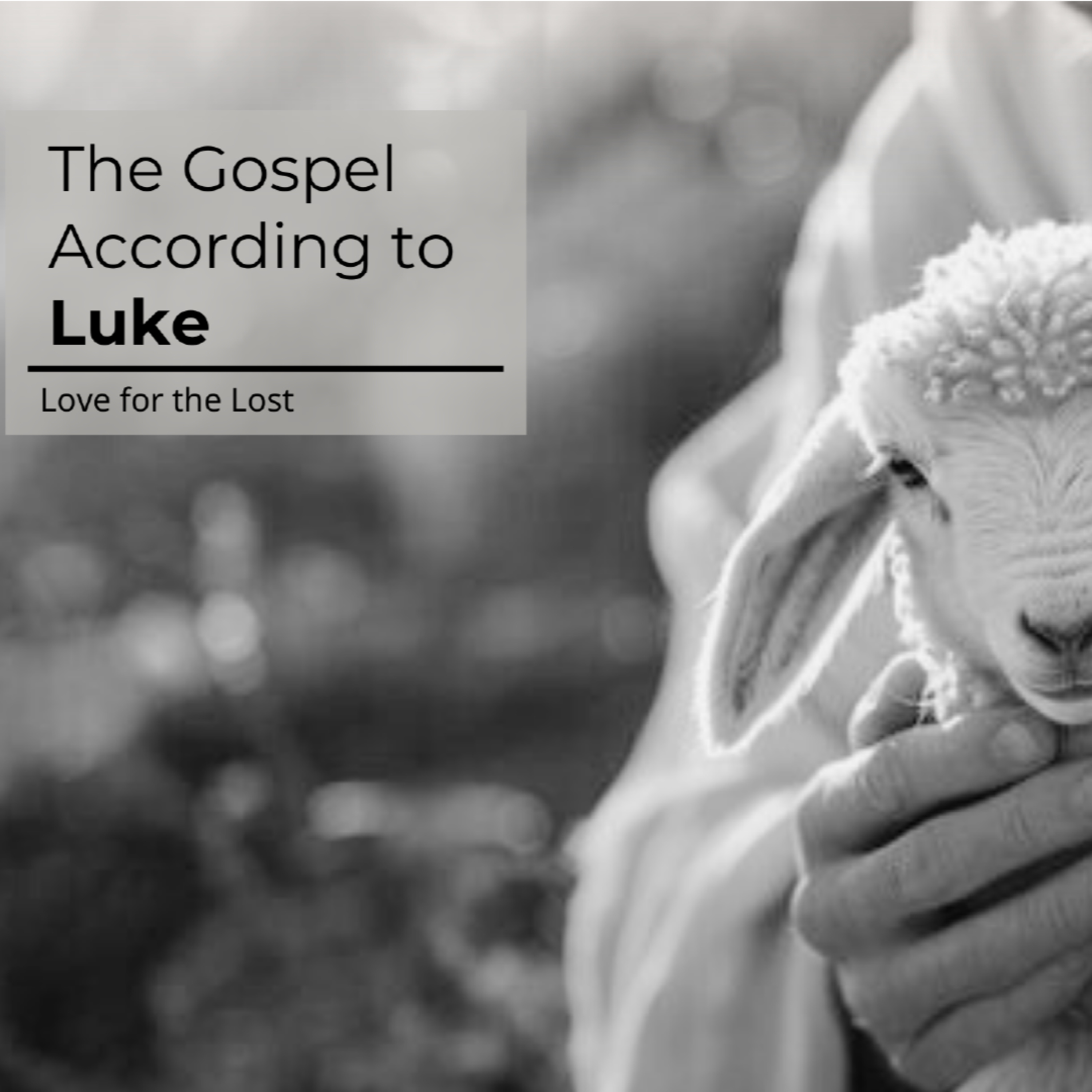 Gospel According to Luke | Luke 15:1-10 | Pastor Rob Haslam episode artwork