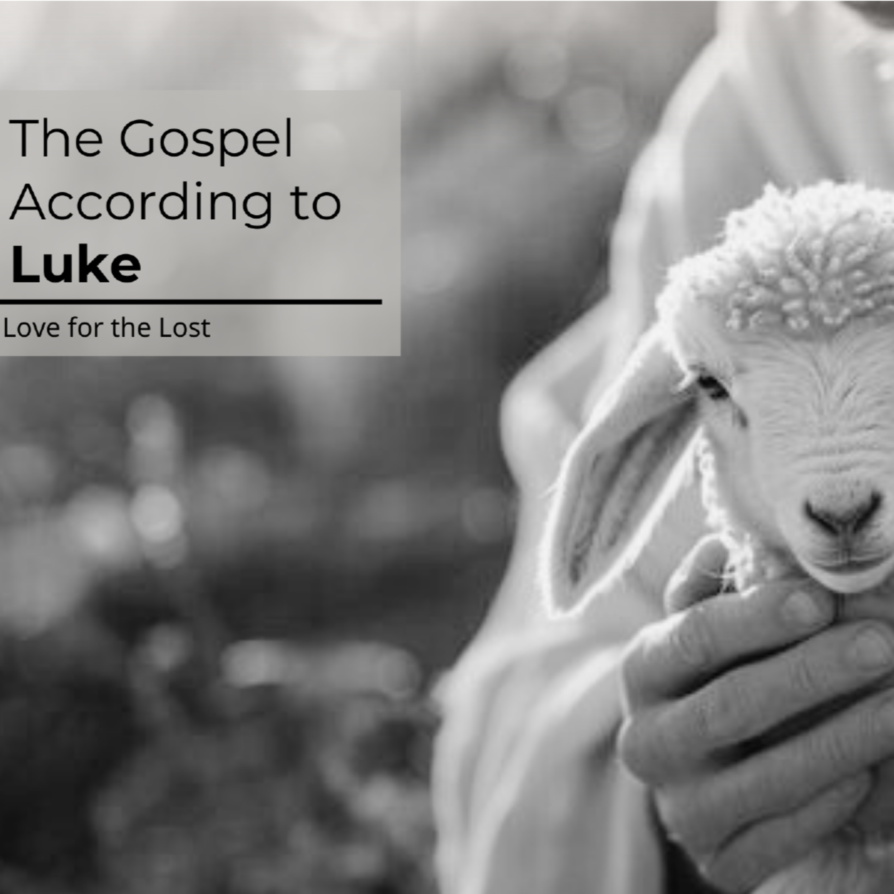 The Gospel According to Luke | Luke 15:11-32 | Pastor Rob Haslam episode artwork