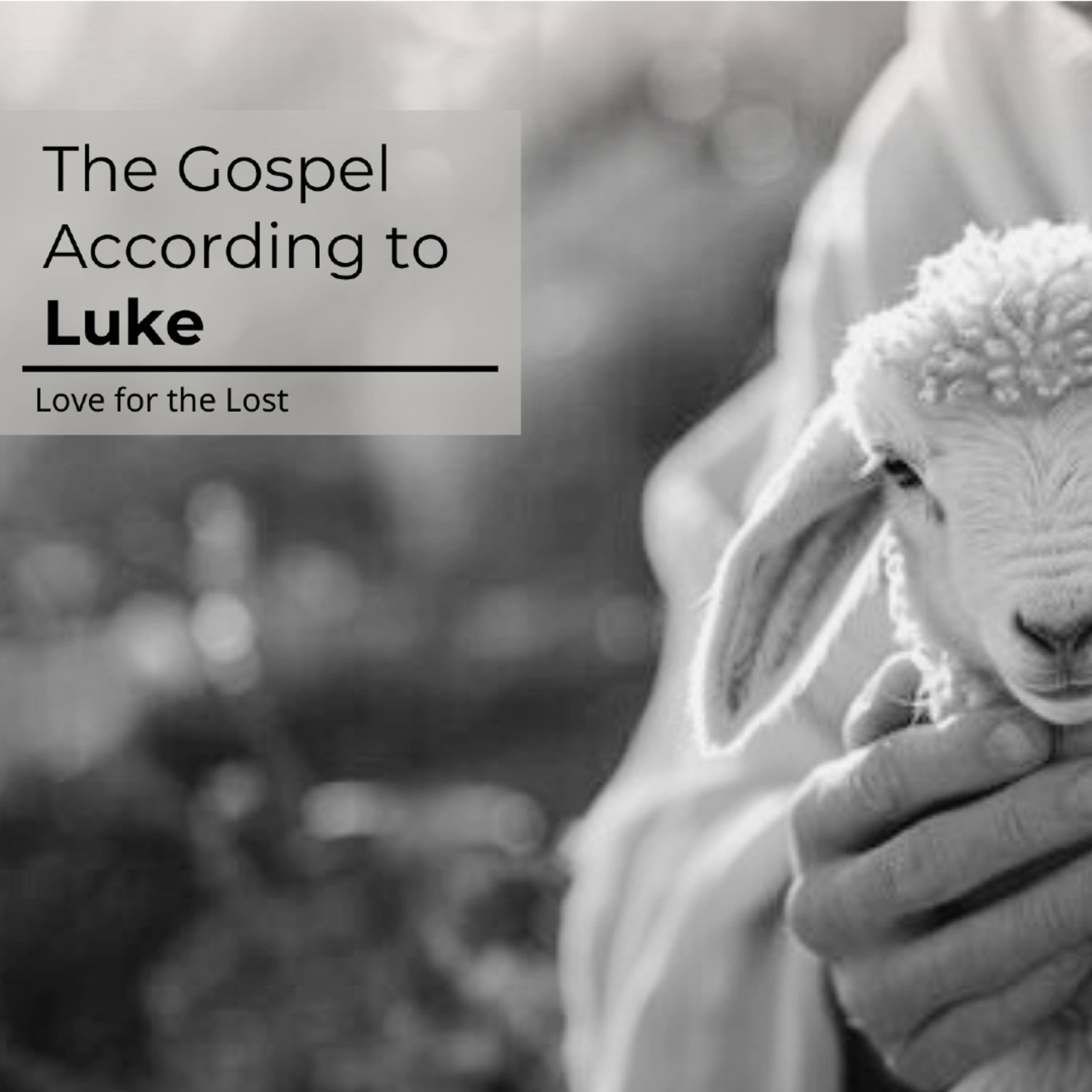 The Gospel According to Luke | Luke 16:1-13 | Pastor Andrew Sherman episode artwork