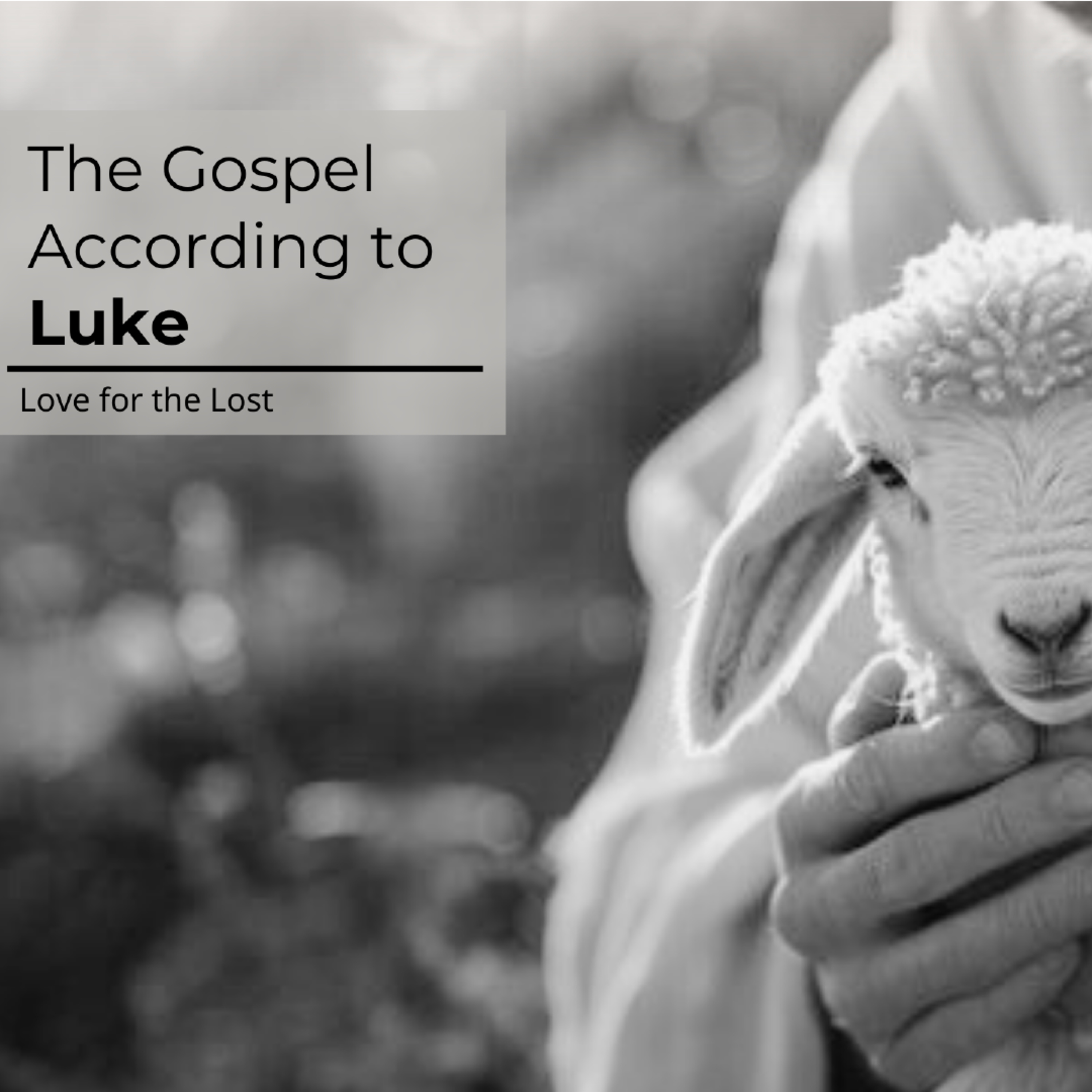 The Gospel According to Luke | Luke 16:18 | Divorce & Remarriage | Pastor Rob Haslam episode artwork