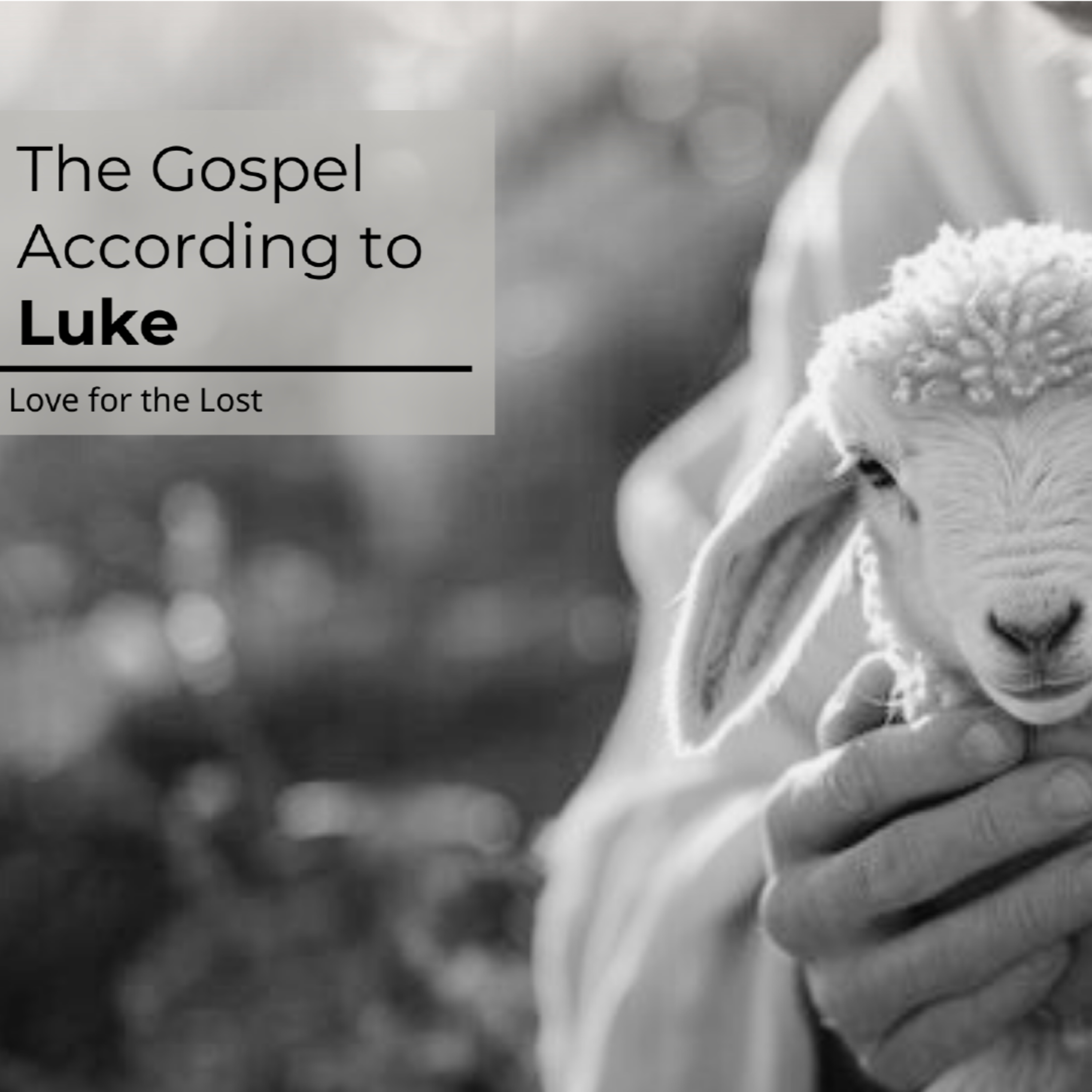 Gospel According to Luke | Luke 16:19-31 | Rich Man and Lazarus | Pastor Rob Haslam episode artwork