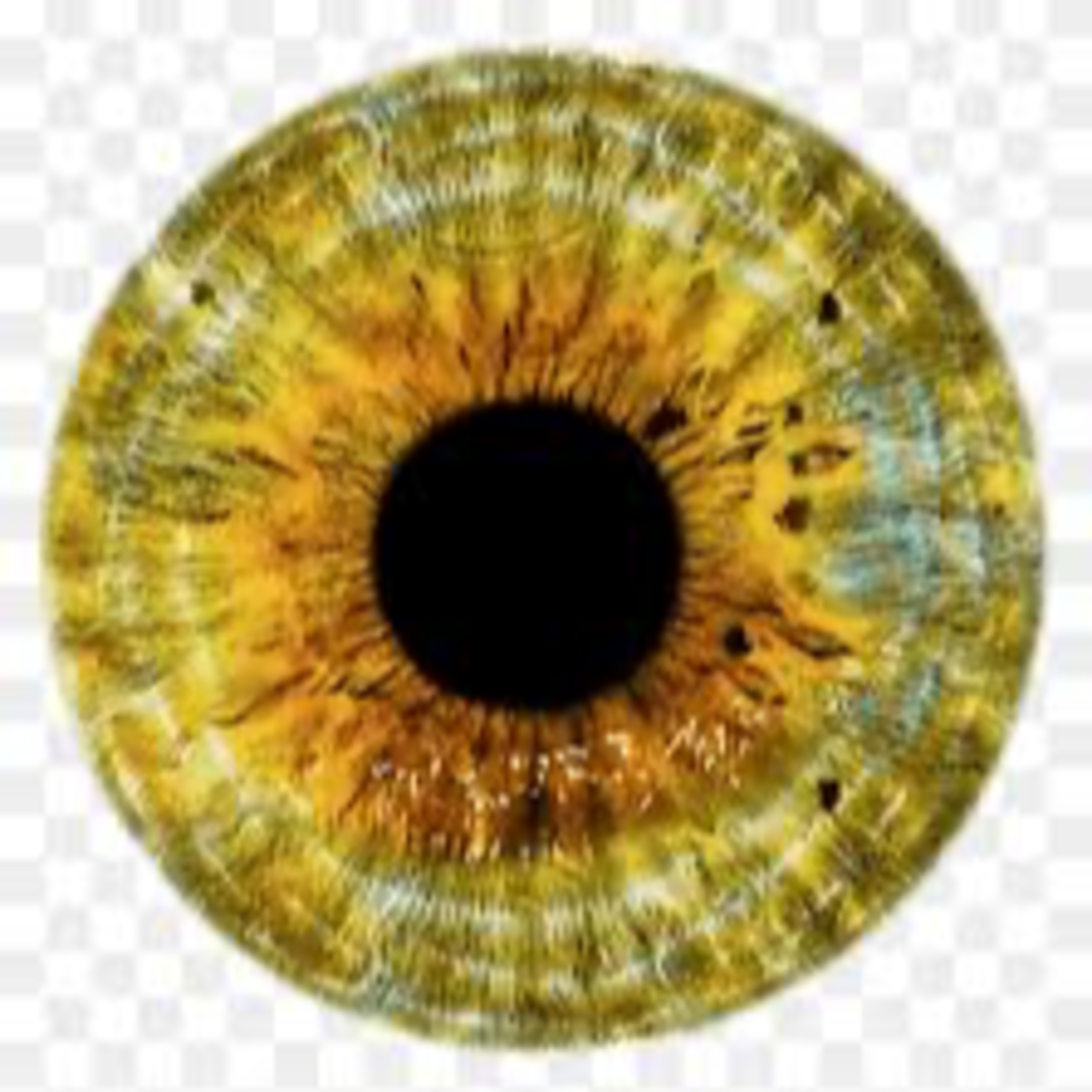 GG- Add'l 补充 -Use Gold Eye to View-Self-from-outside-in 用金眼向内观 (中英文, English starts 3:57) episode artwork