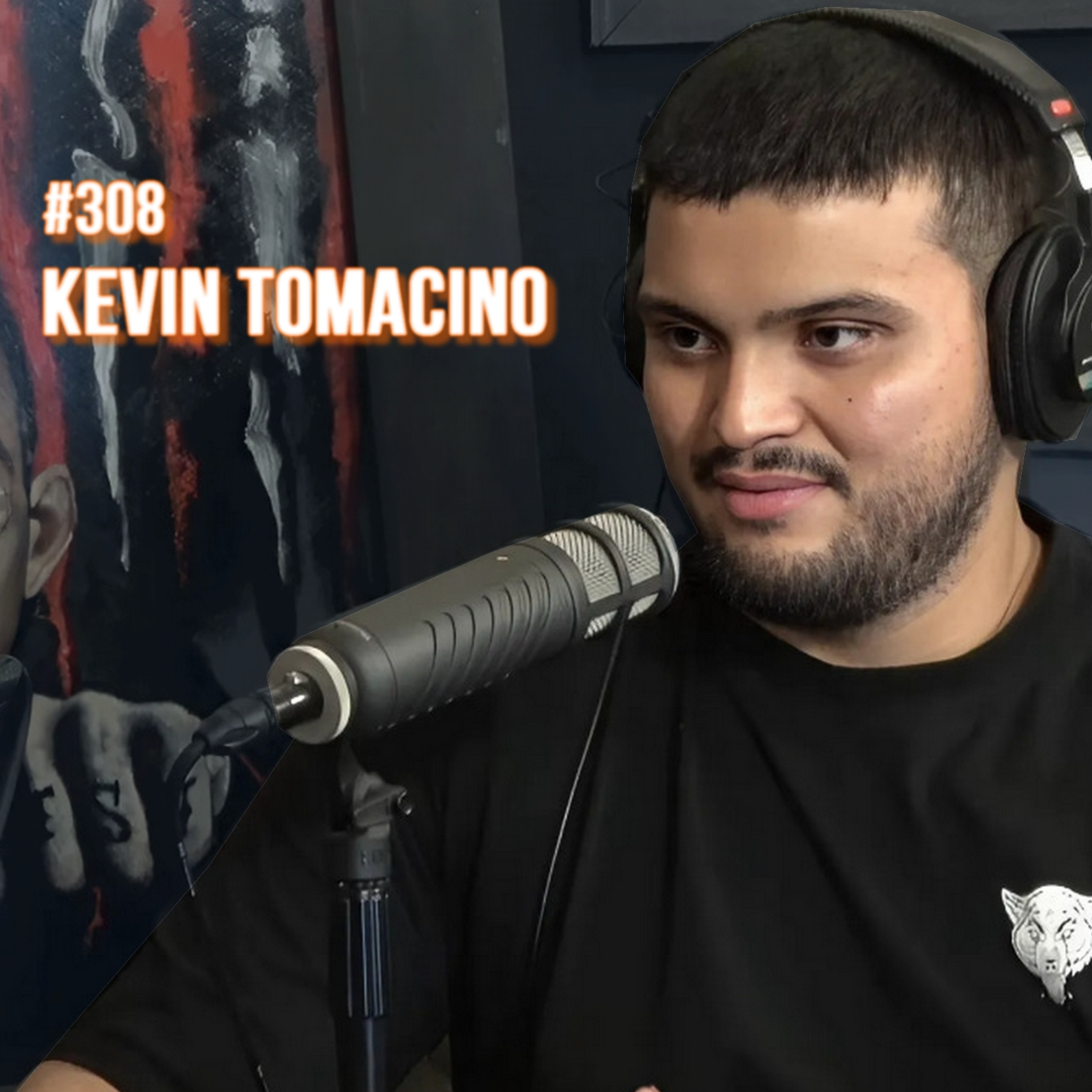 Alberto Crane Show #308 - Kevin Tomacino episode artwork