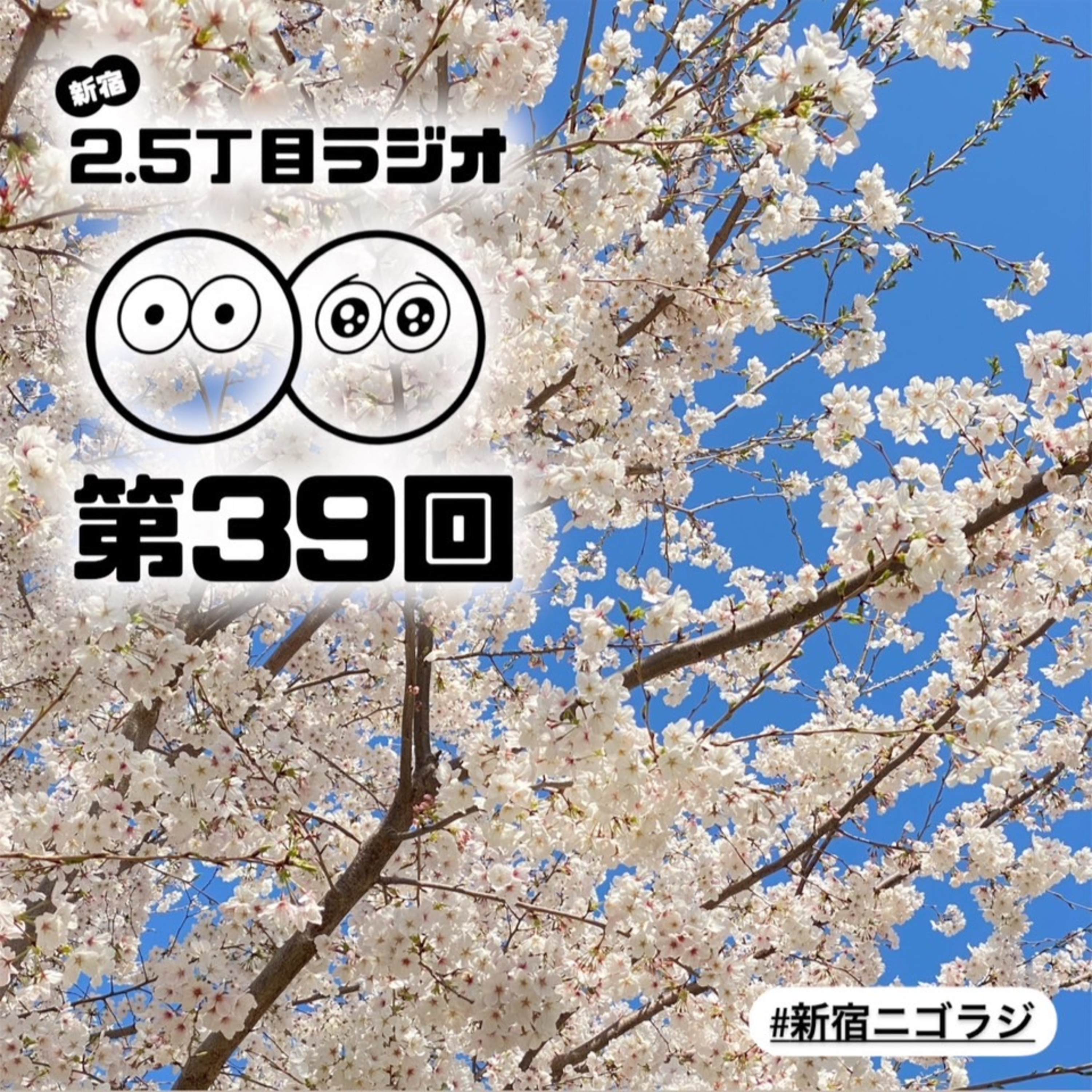 #39 おススメのお立ち寄りスポット