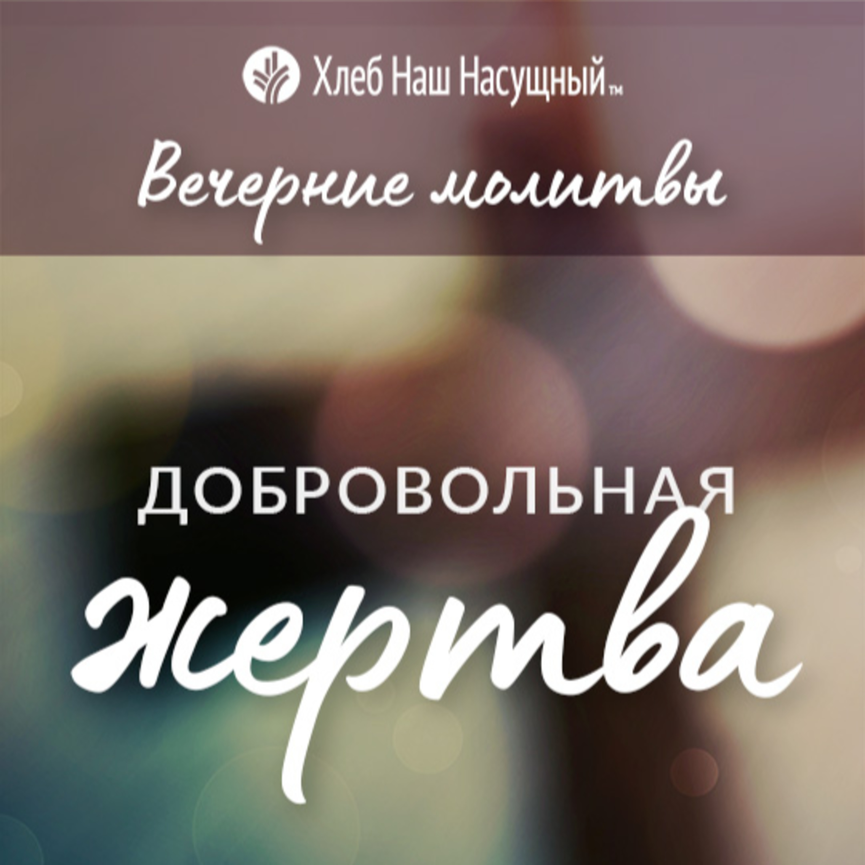  ДОБРОВОЛЬНАЯ ЖЕРТВА | Вечерние размышления episode artwork