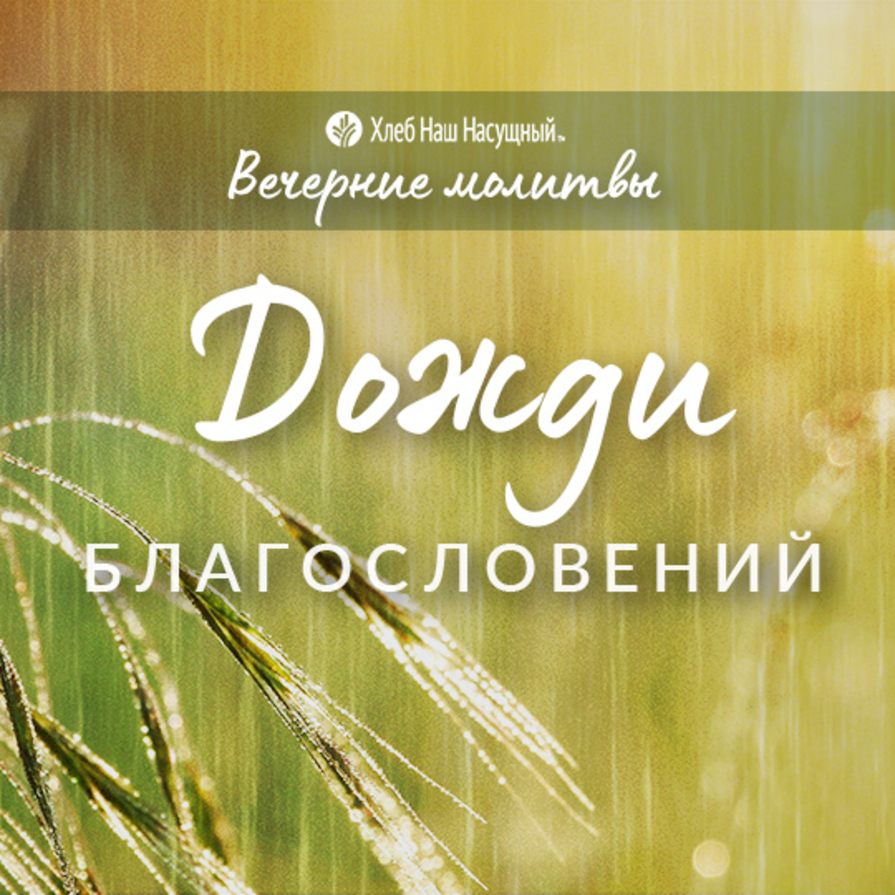  ДОЖДИ БЛАГОСЛОВЕНИЙ | Вечерние размышления episode artwork