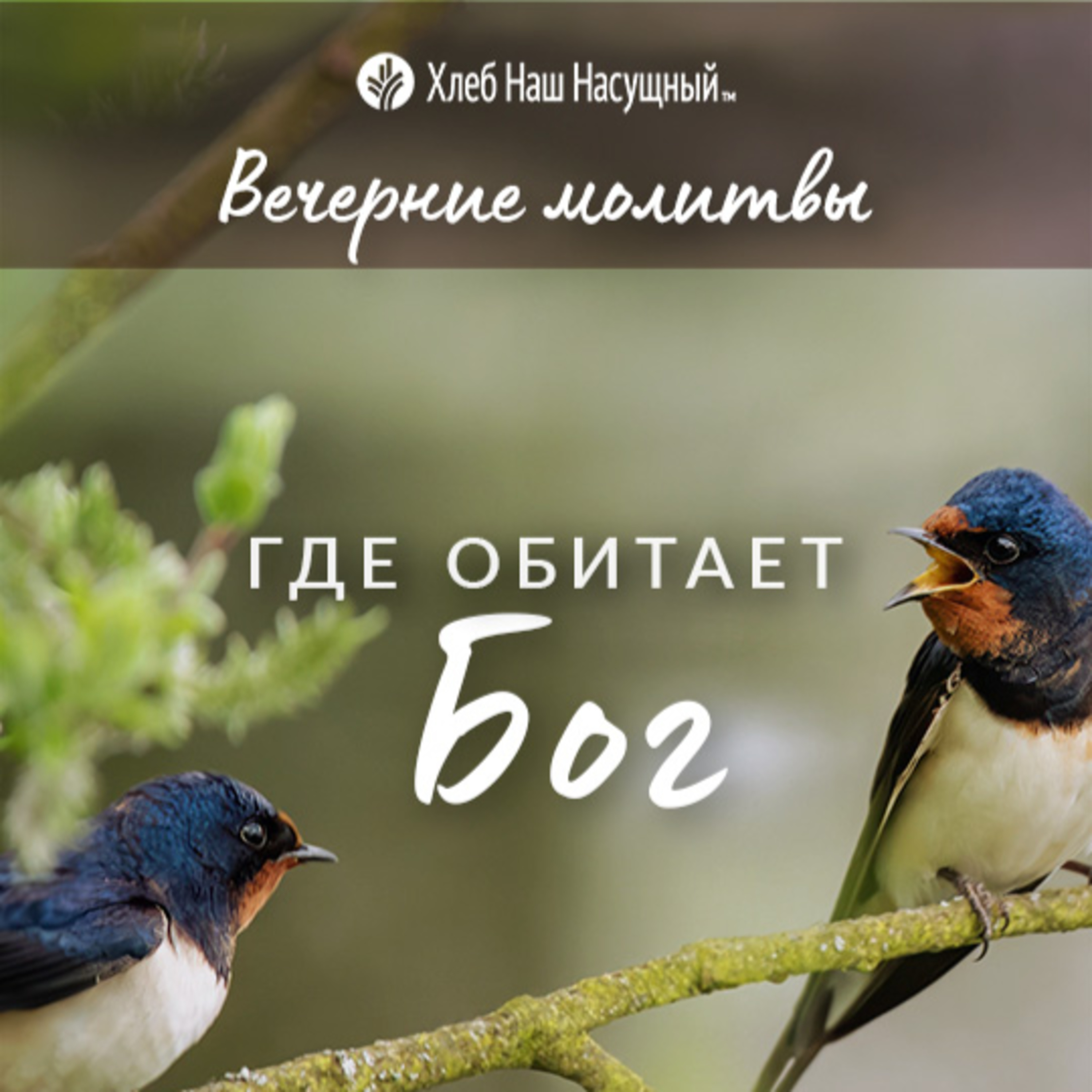  ГДЕ ОБИТАЕТ БОГ | Вечерние размышления episode artwork