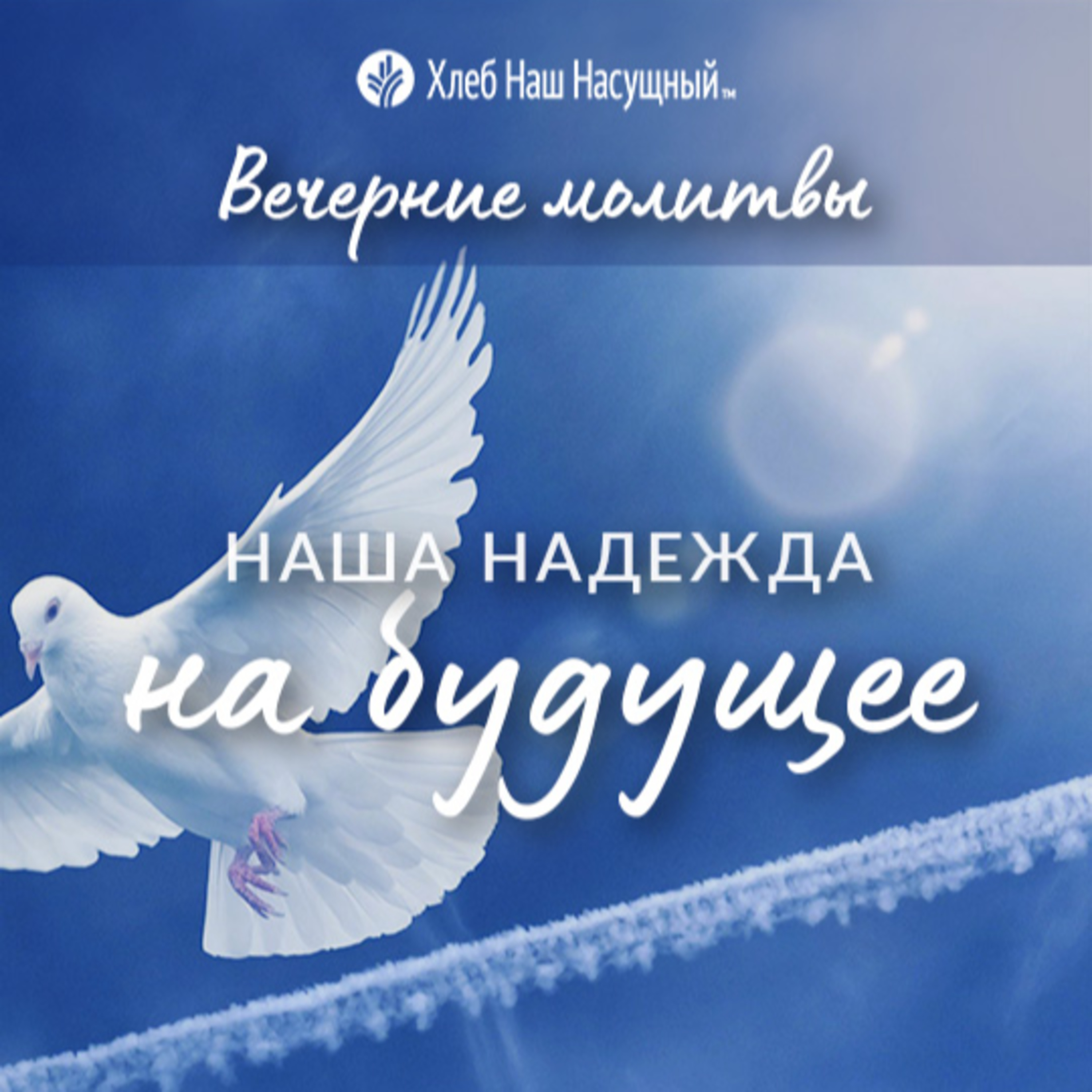 НАША НАДЕЖДА НА БУДУЩЕЕ | Вечерние размышления episode artwork