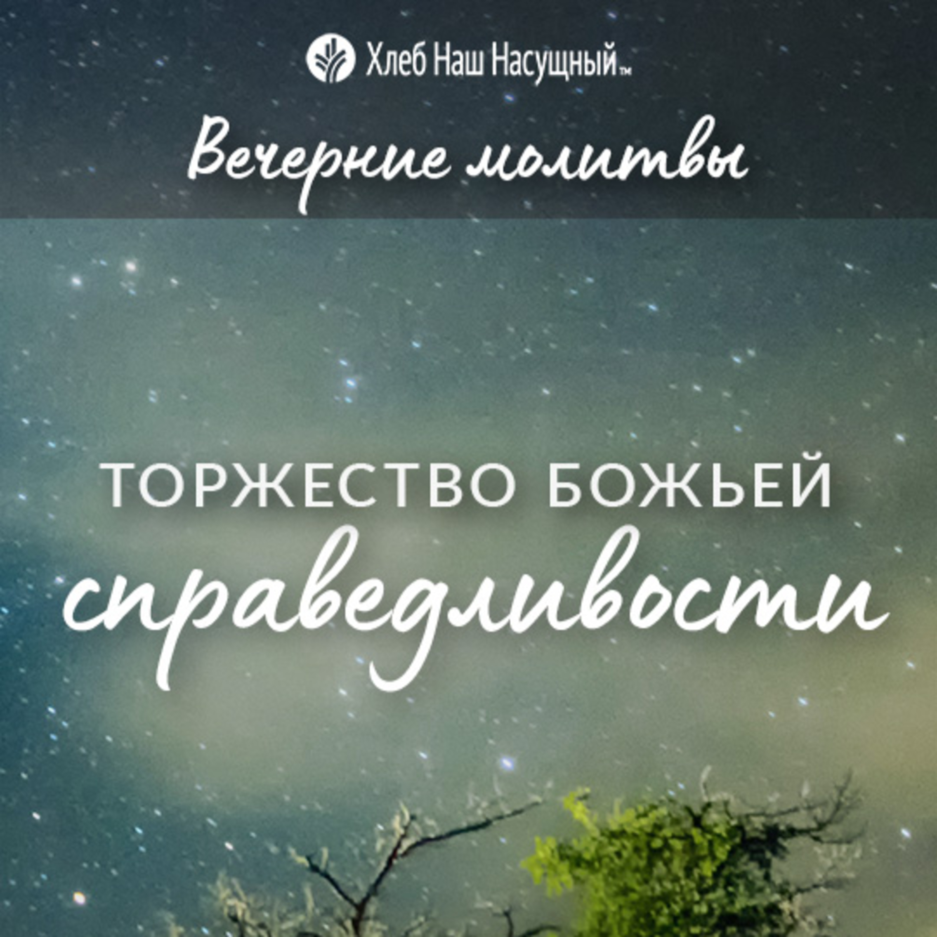 ТОРЖЕСТВО БОЖЬЕЙ СПРАВЕДЛИВОСТИ | Вечерние размышления episode artwork