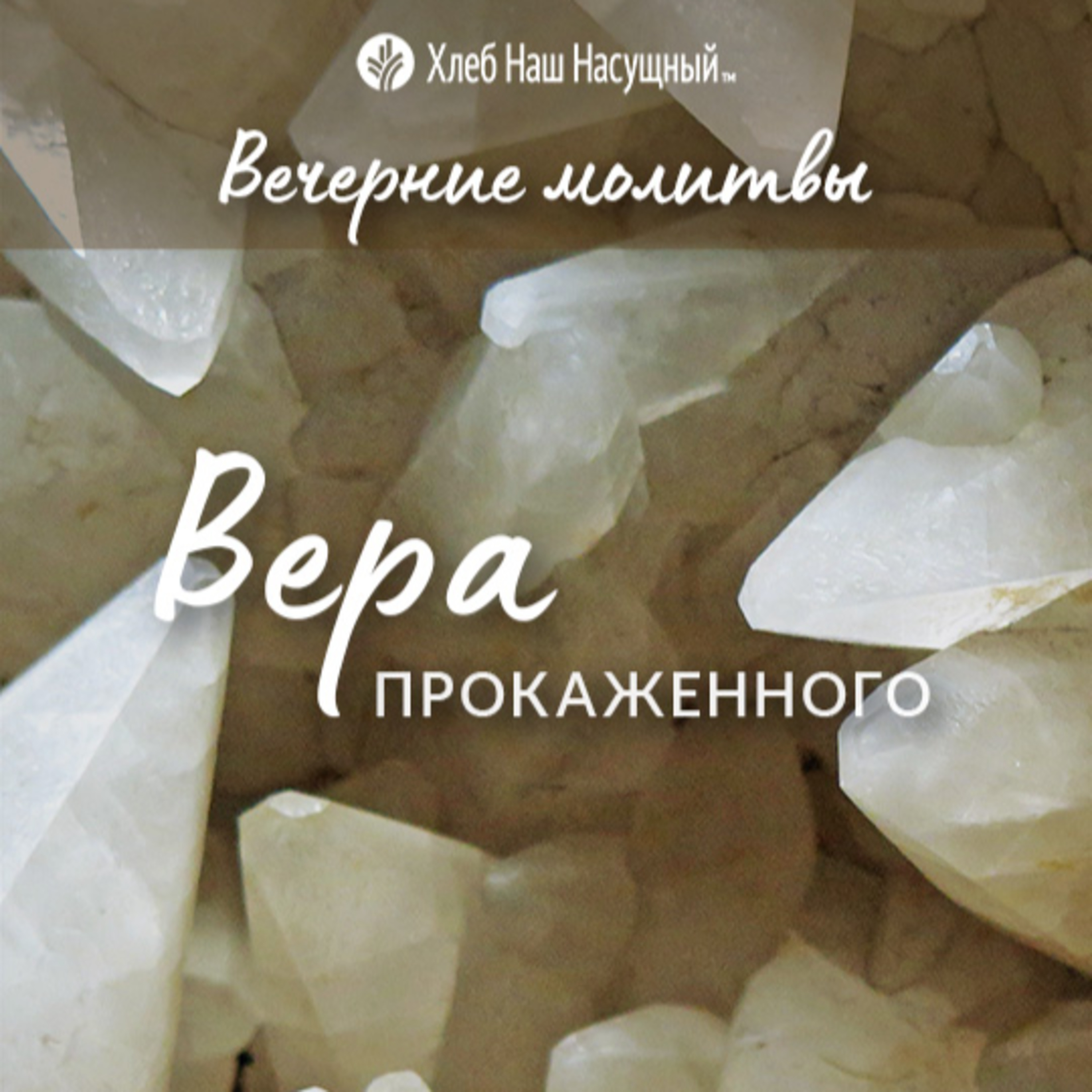 ВЕРА ПРОКАЖЕННОГО | Вечерние размышления episode artwork