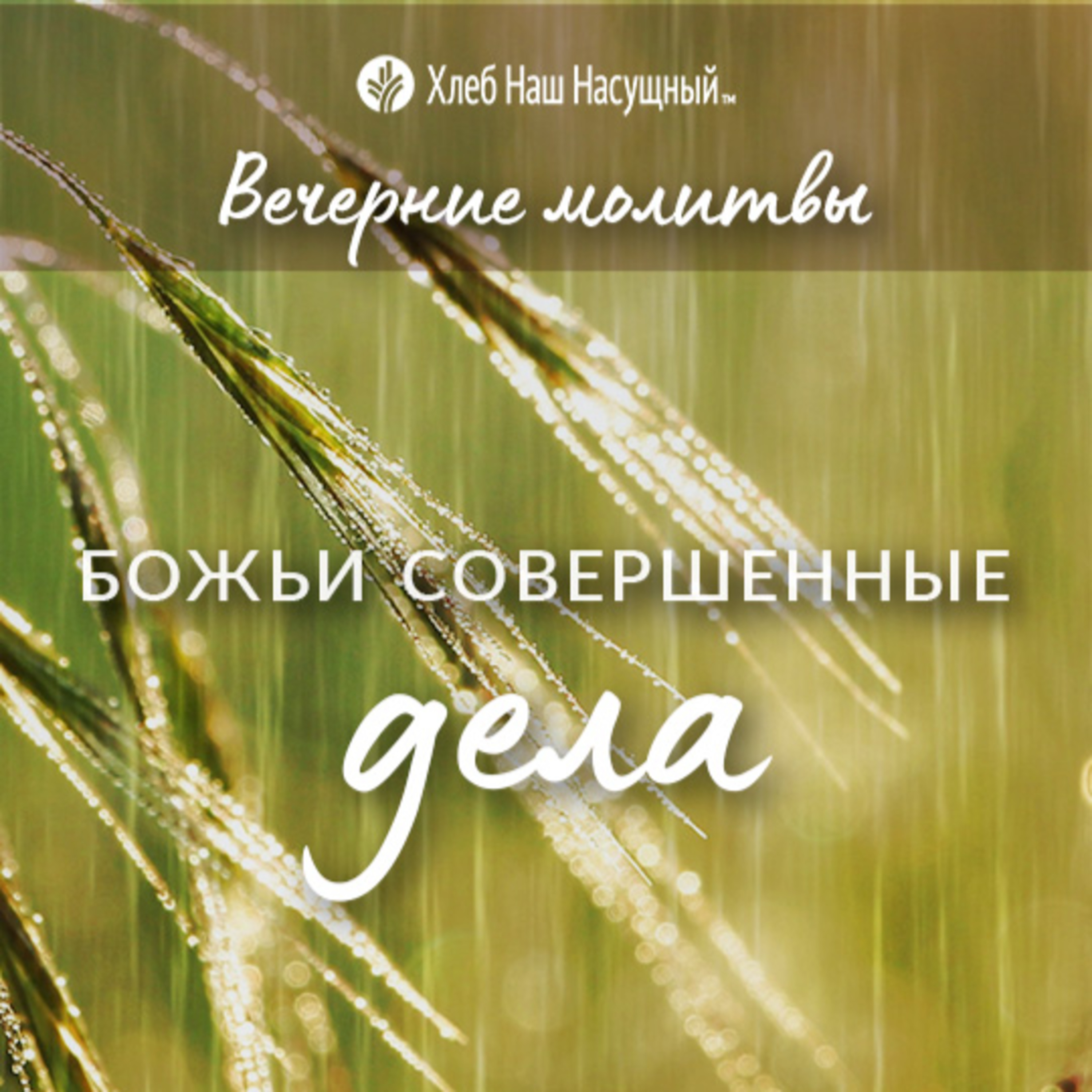БОЖЬИ СОВЕРШЕННЫЕ ДЕЛА | Вечерние размышления episode artwork