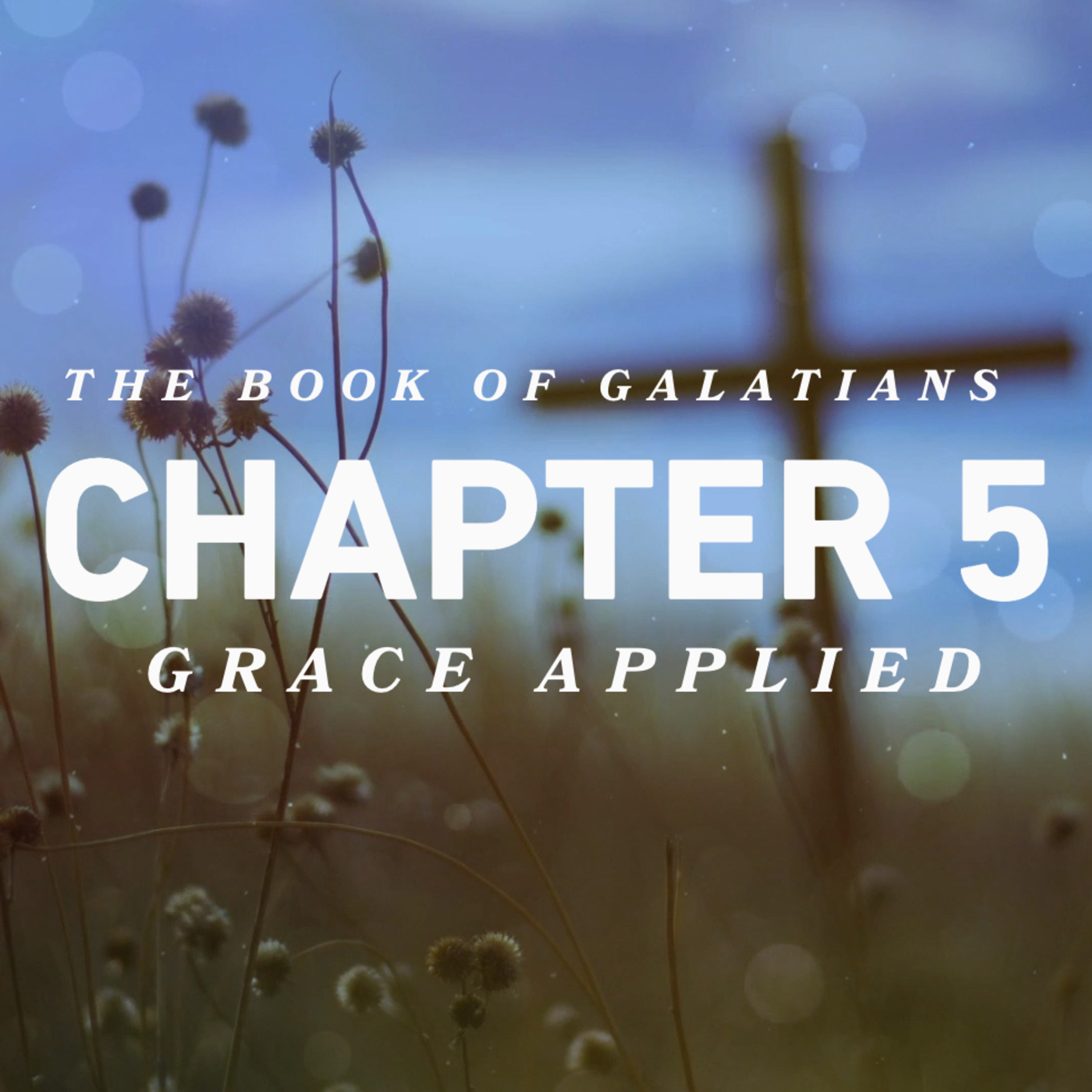 Galatians, Freedom Through Christ | Chapter 5, Grace Applied  episode artwork