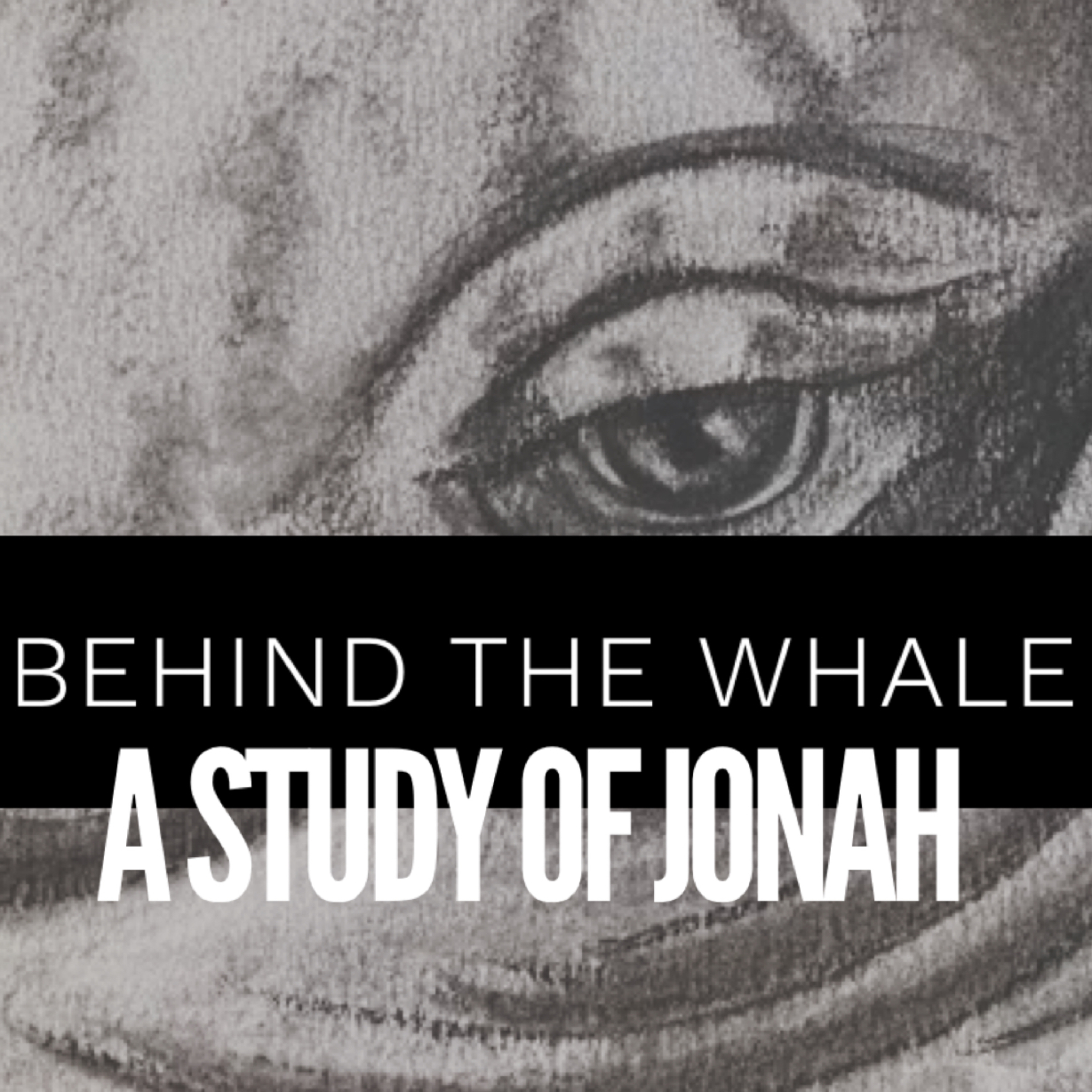 Jonah: Behind the Whale- Rock Bottom episode artwork