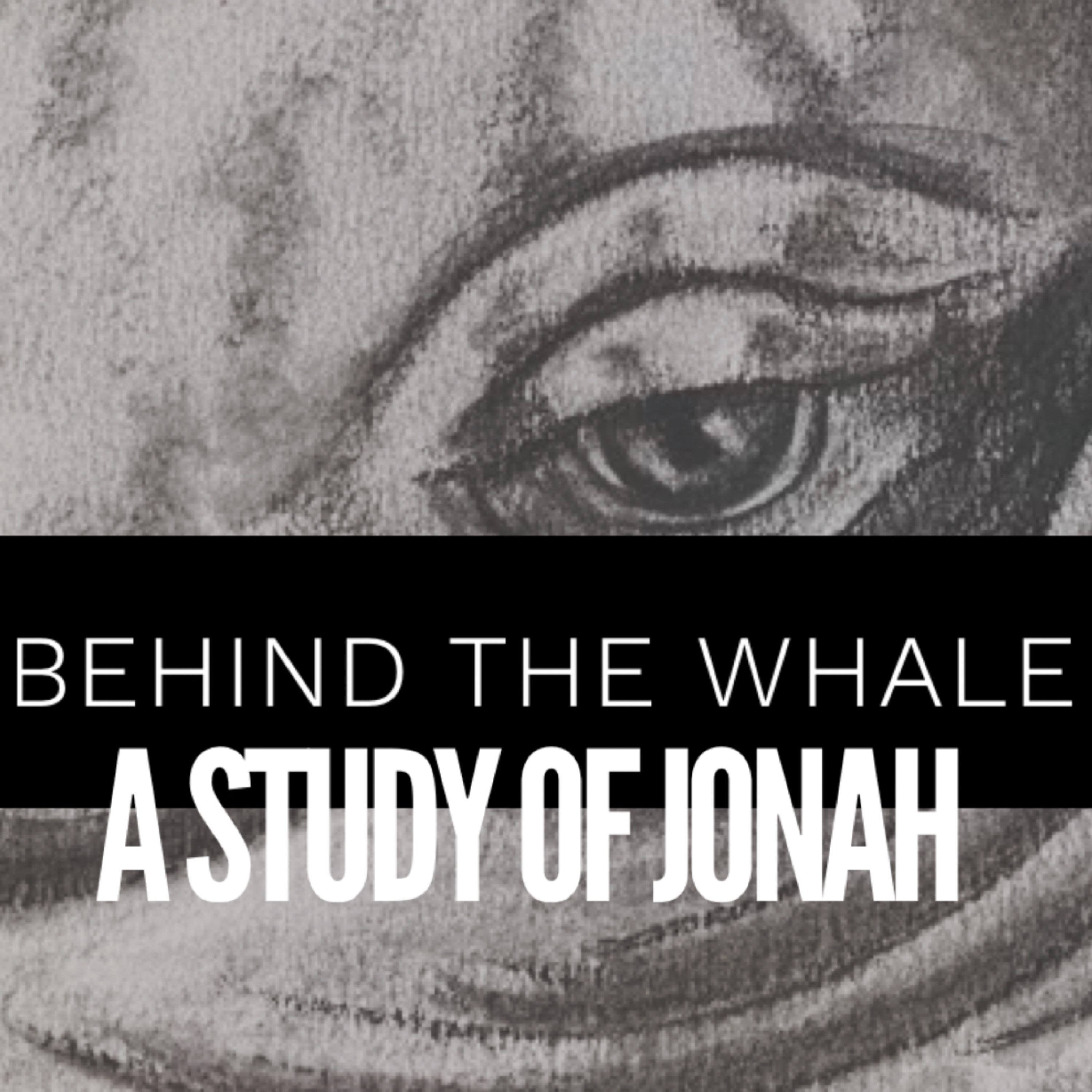Jonah: Behind the Whale- Smelly Second Chance episode artwork
