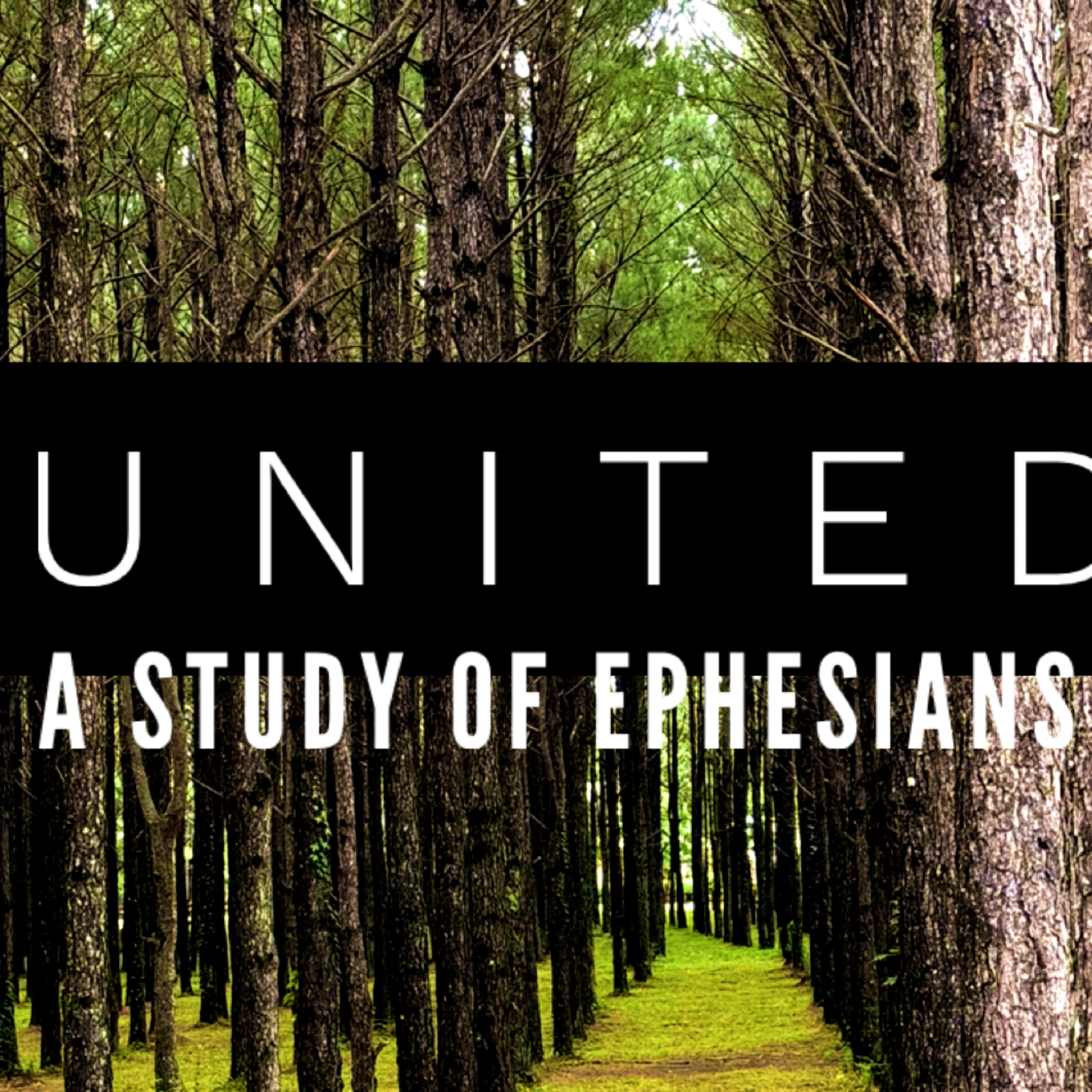 Ephesians: United in Strength & Understanding  episode artwork