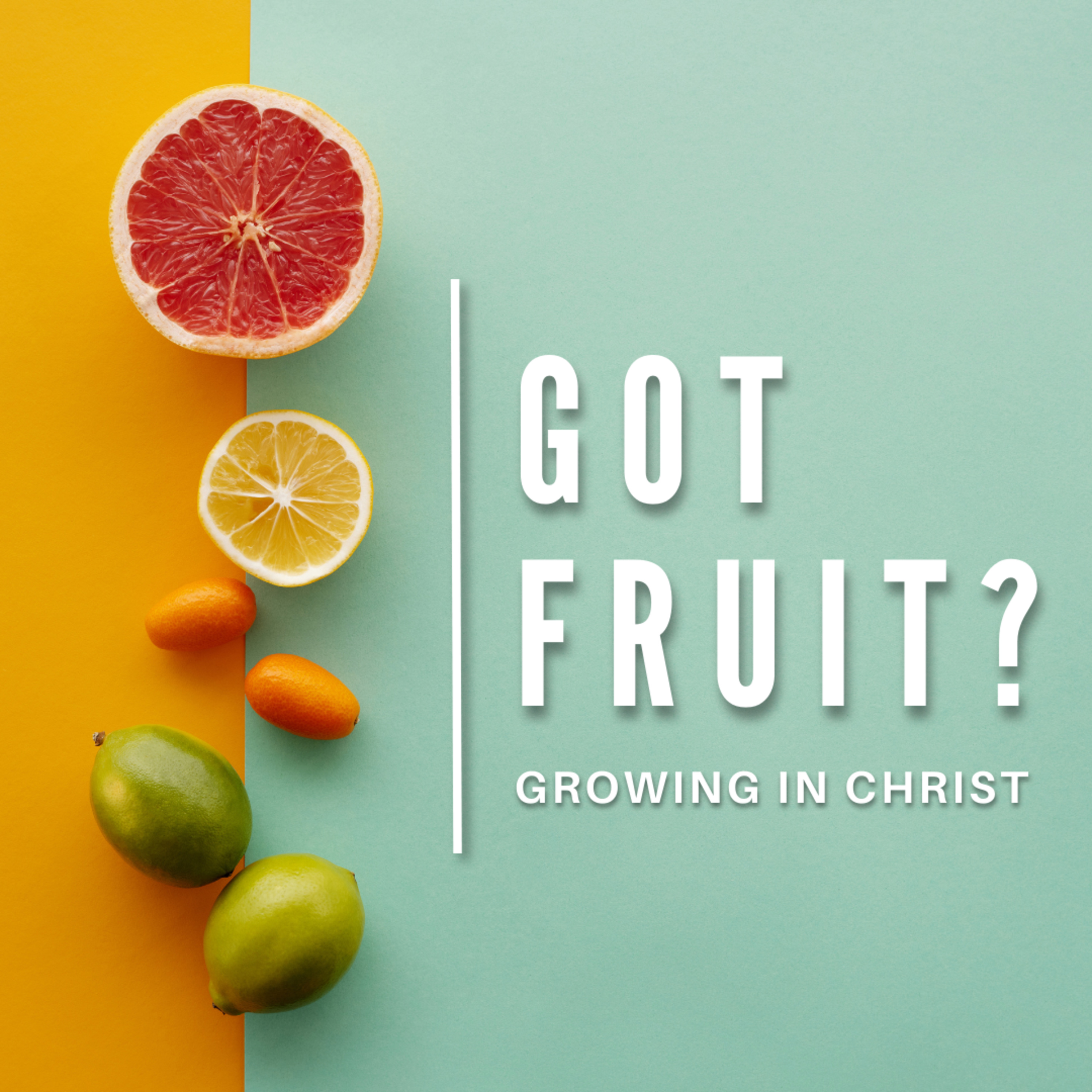 Got Fruit? Growing in Christ | Arnie Williams | June 25, 2023 episode artwork