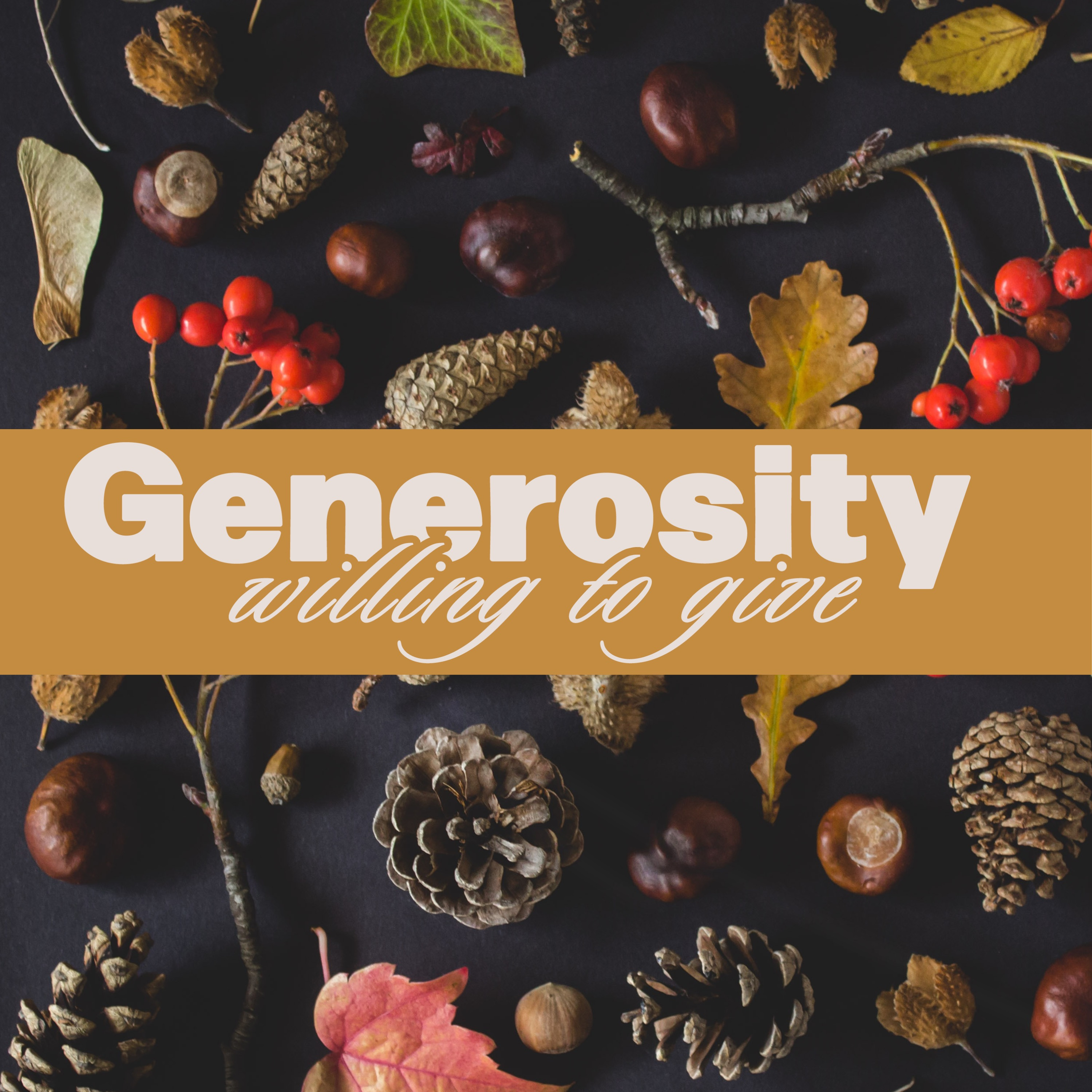 Generosity- A Willing People | Casey Stokes | December 3, 2023 episode artwork