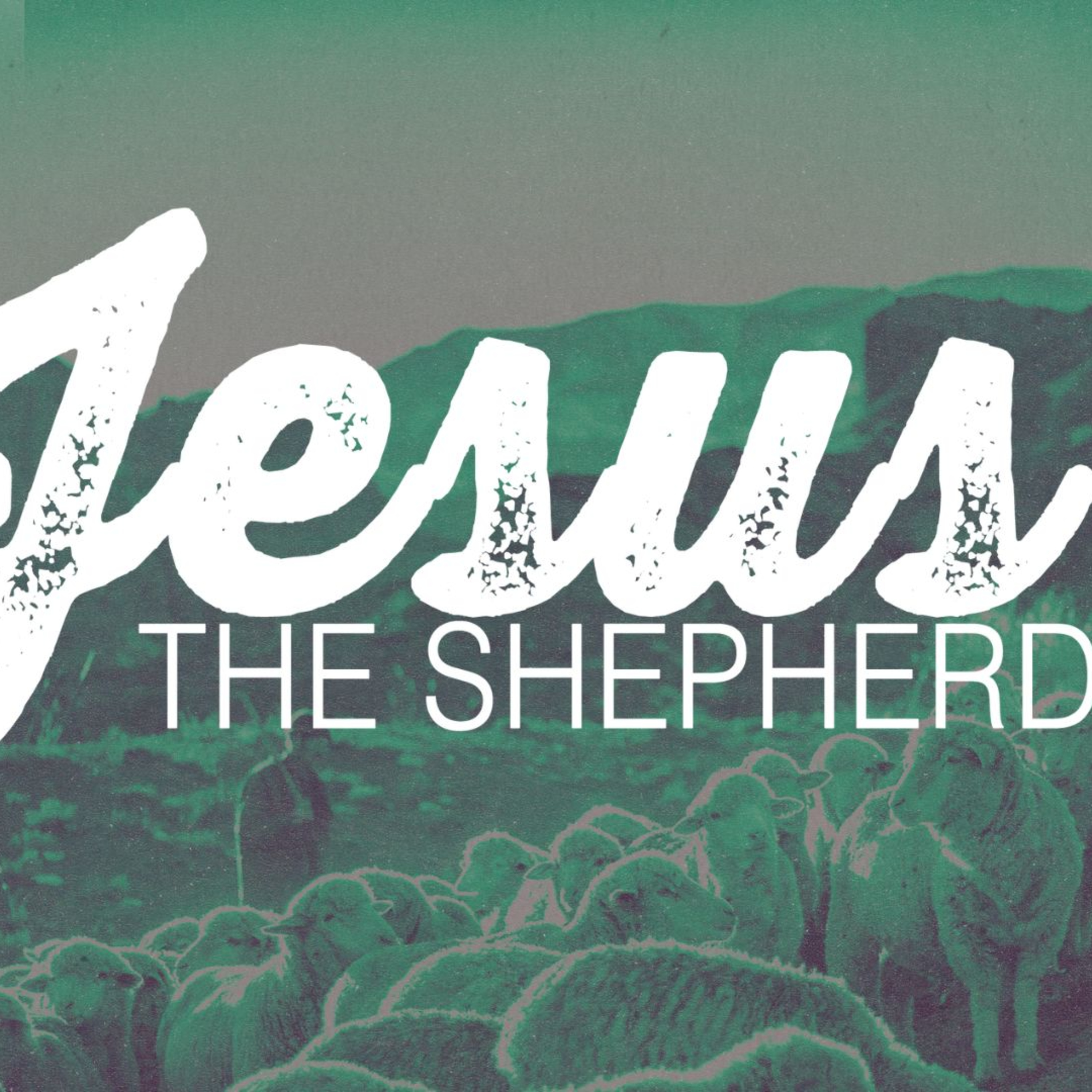 Jesus the Shepherd | Jordan Ducote | December 15, 2024 episode artwork