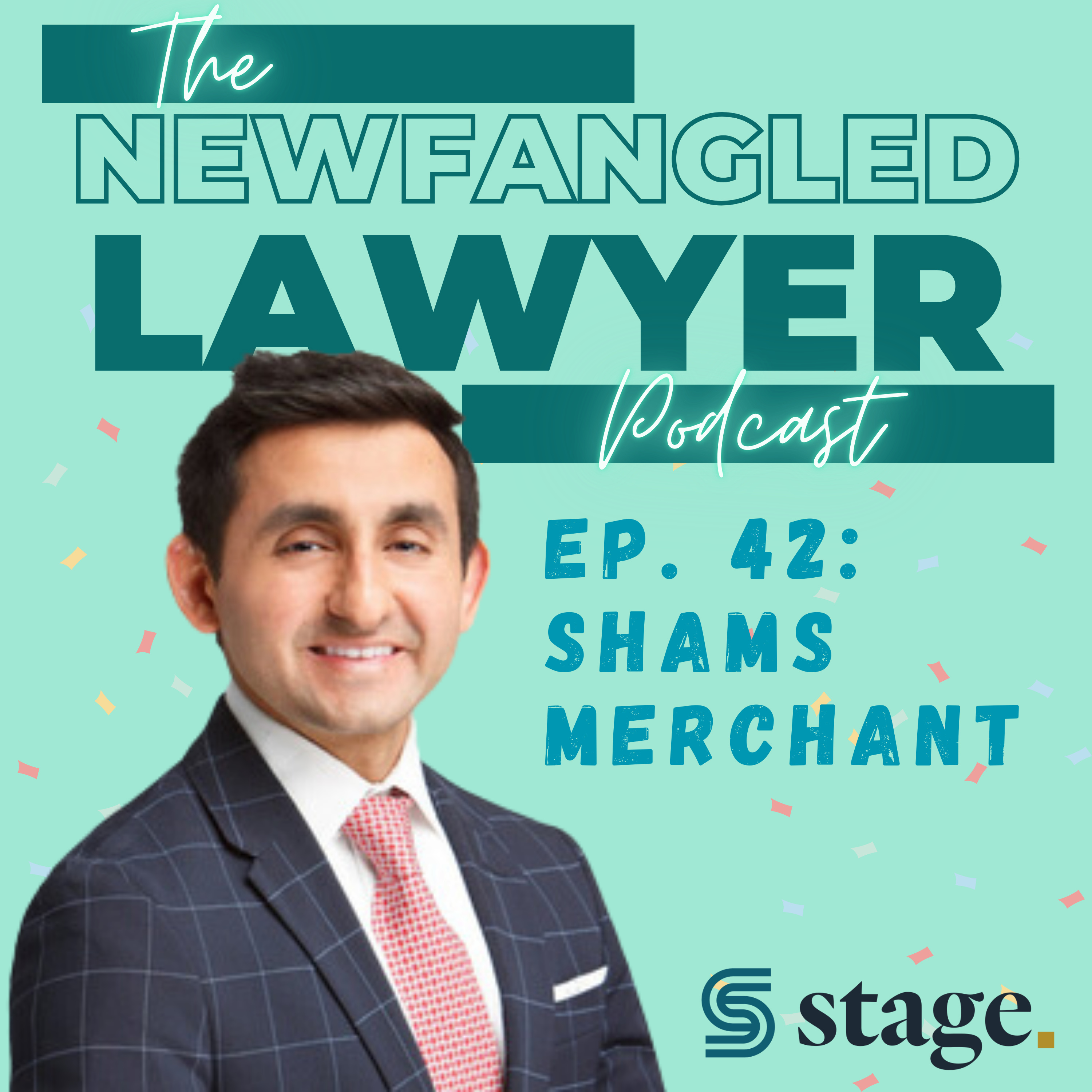 The Newfangled Lawyer
