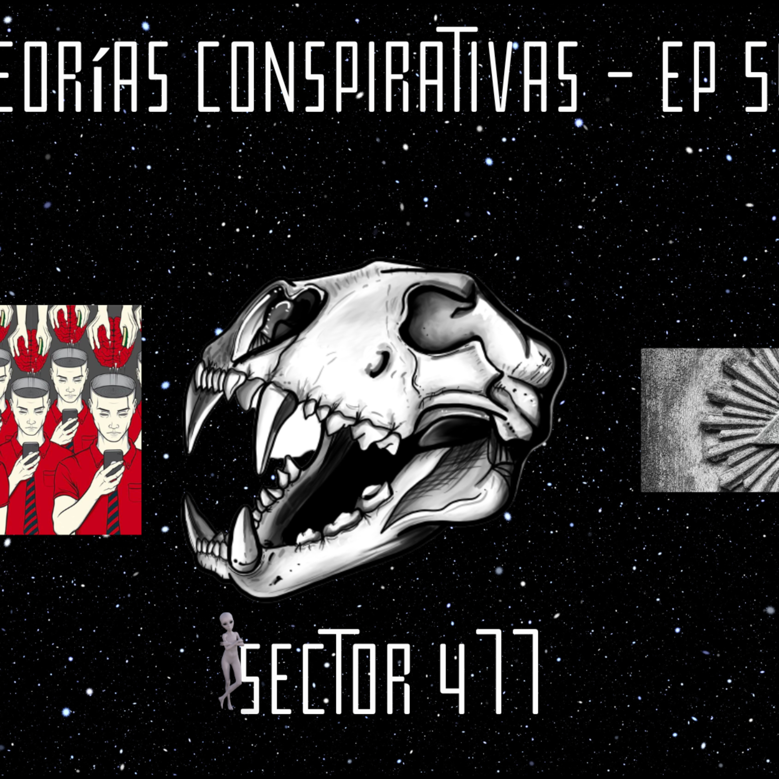 Sector 477