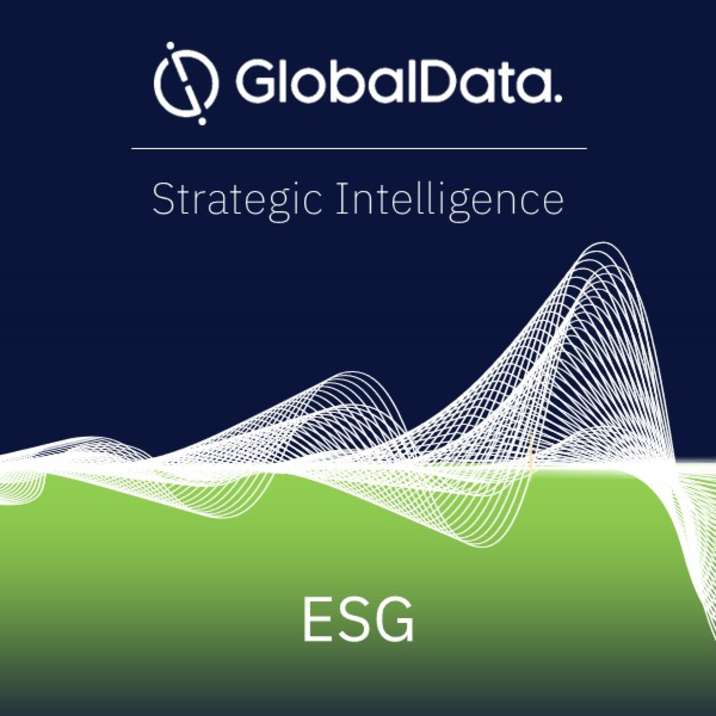 Instant Insights