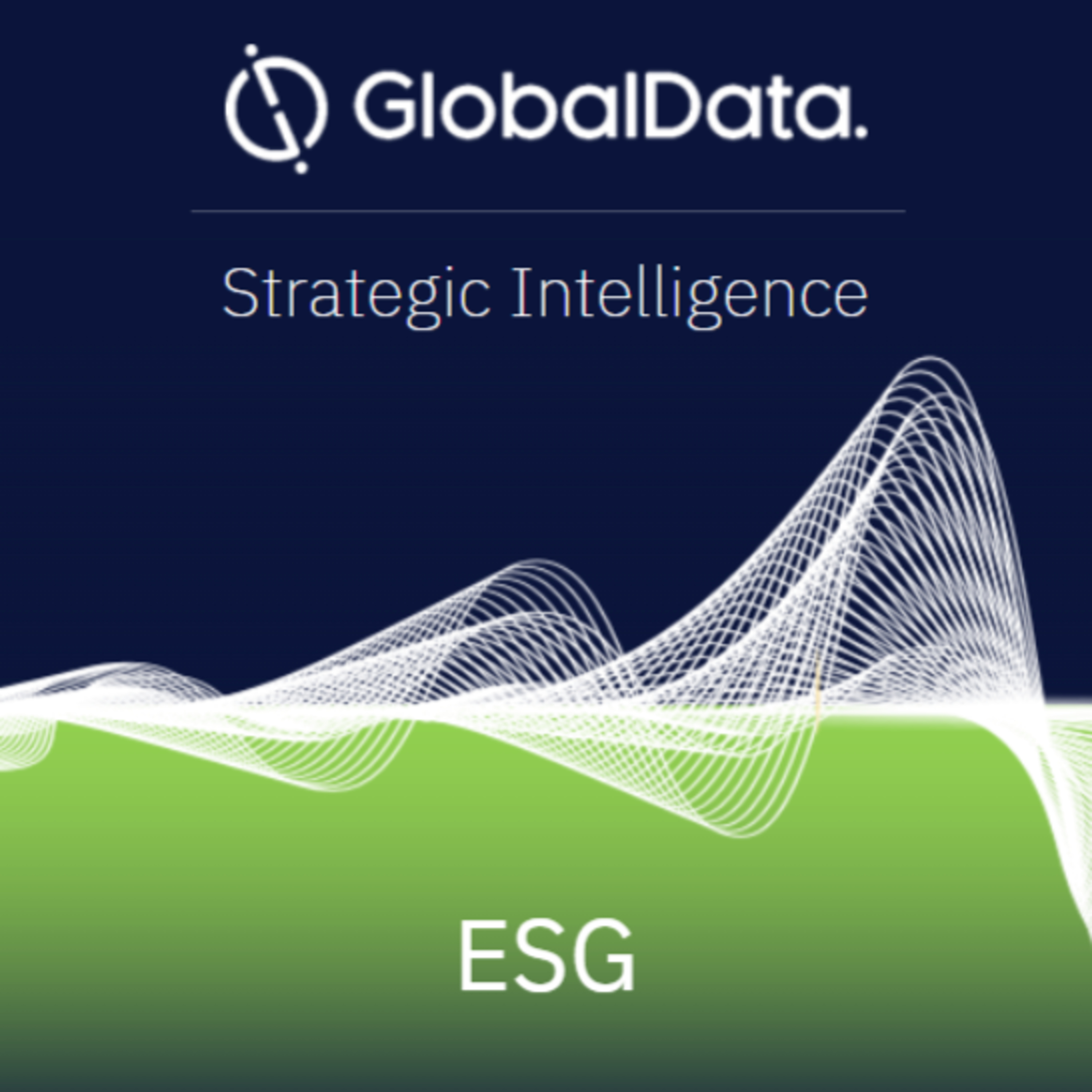 Instant Insights