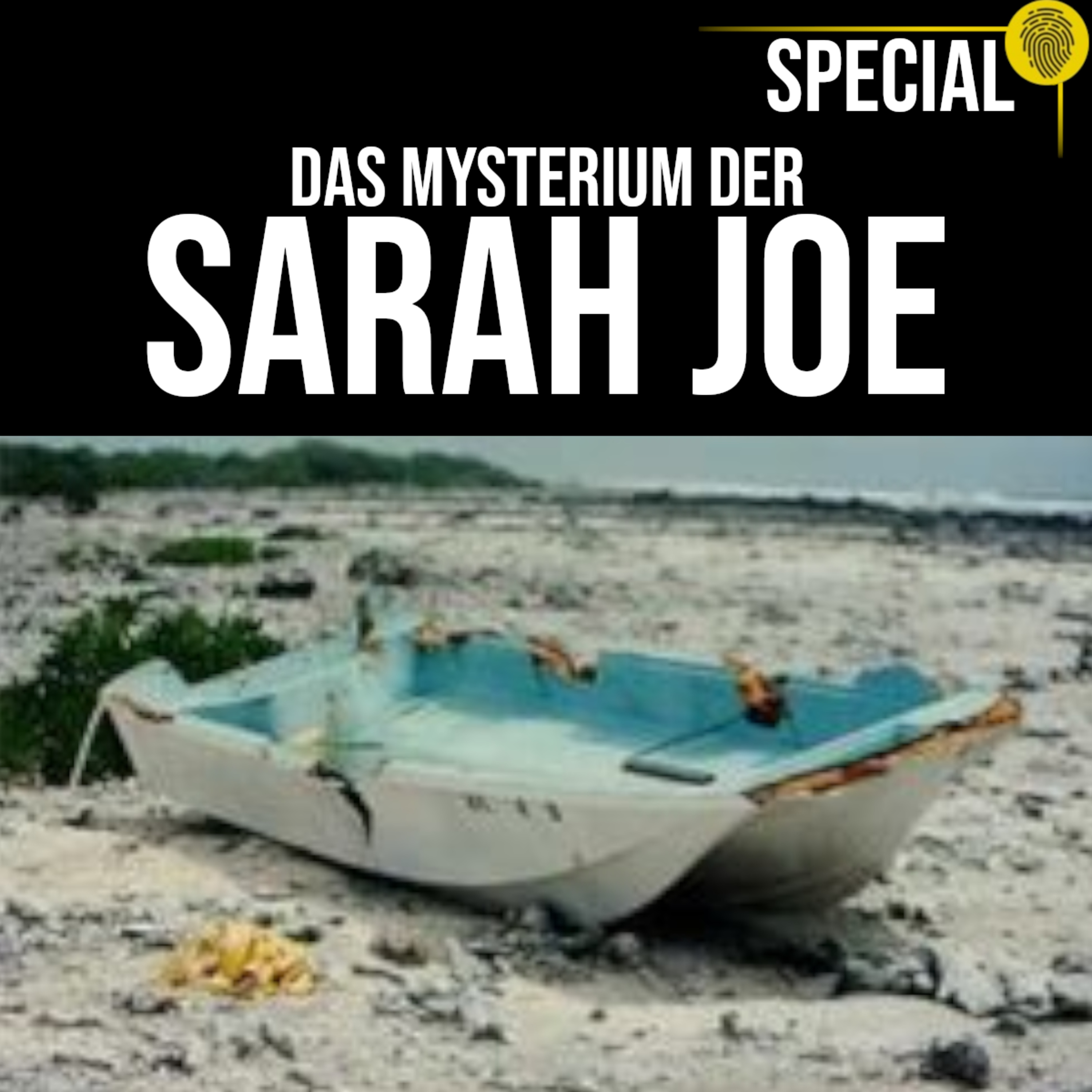 Wer grub das Grab?? Das Mysterium um die Crew der Sarah Joe | Crime Time Special episode artwork