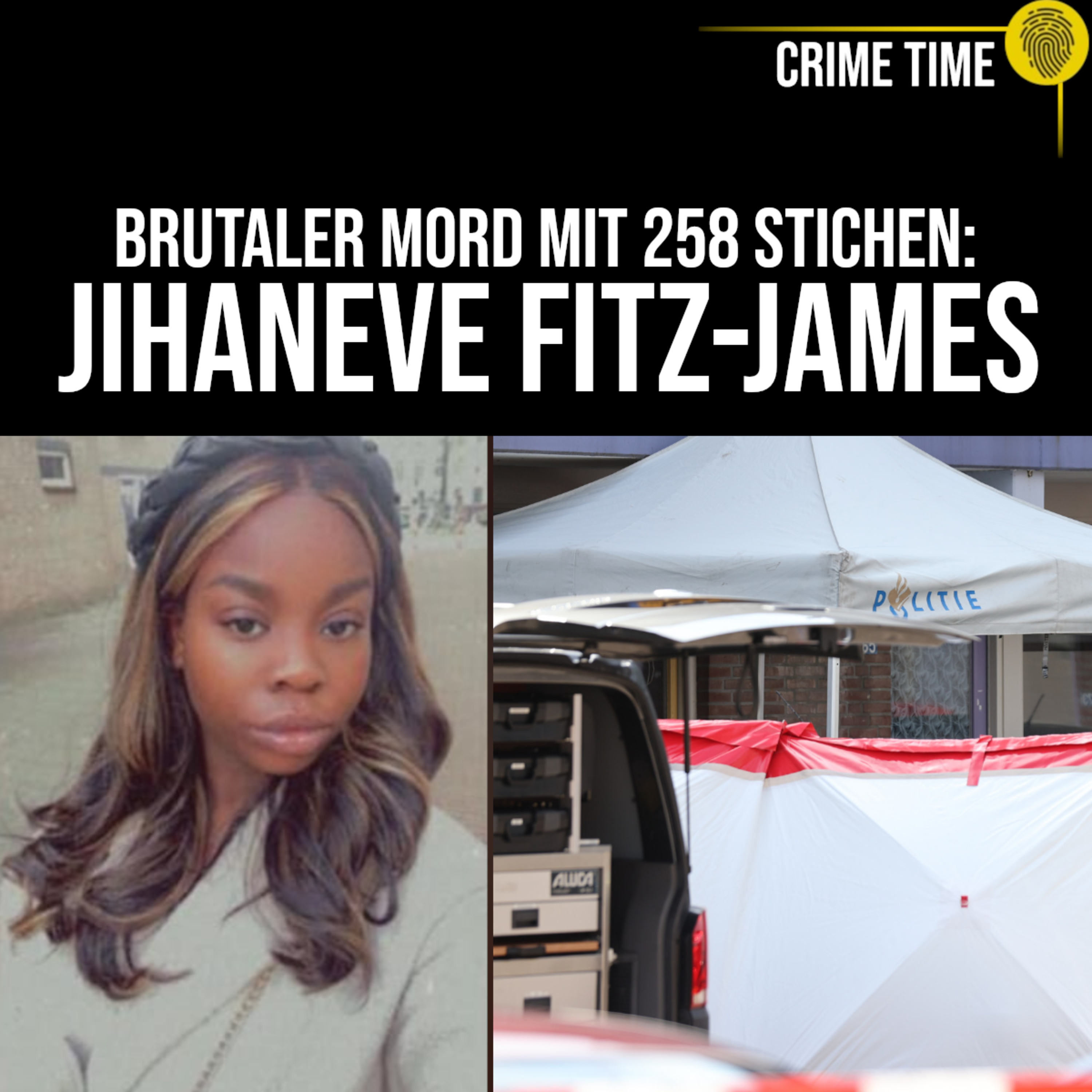 Brutaler Mord – und Mitleid für den Täter? Femizid an Jihaneve Fitz-James | Crime Time