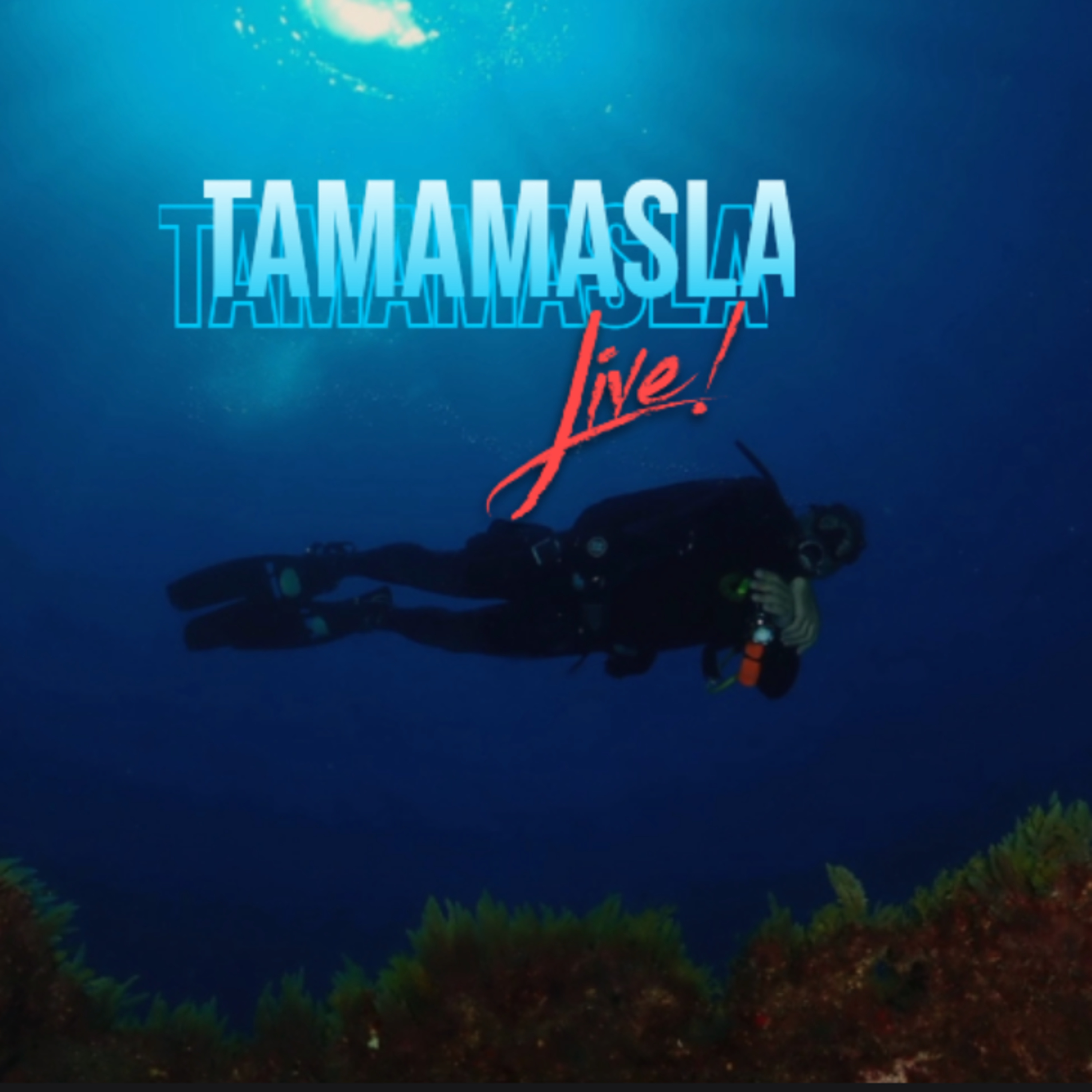 Campeonato Fotosub Fuerteventura 2023 episode artwork
