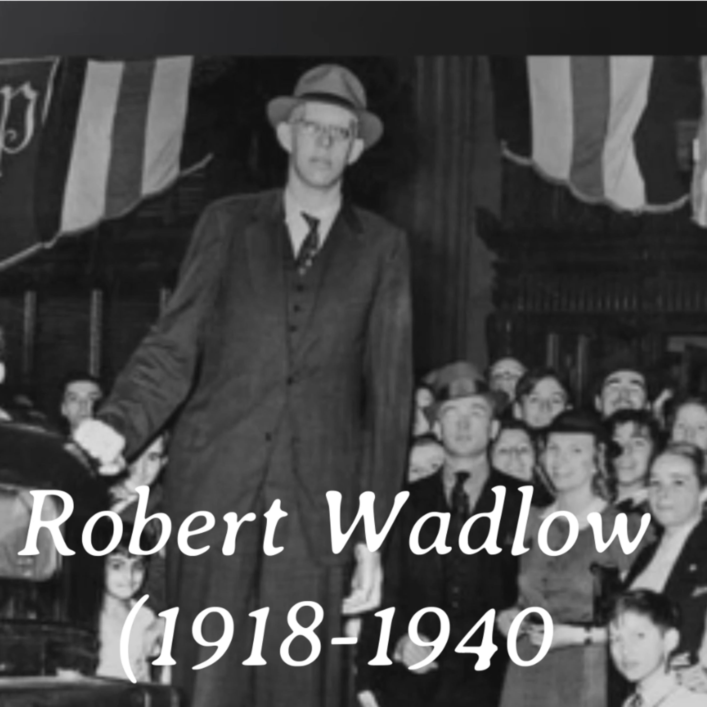 "Robert Wadlow, el hombre más alto del mundo" episode artwork