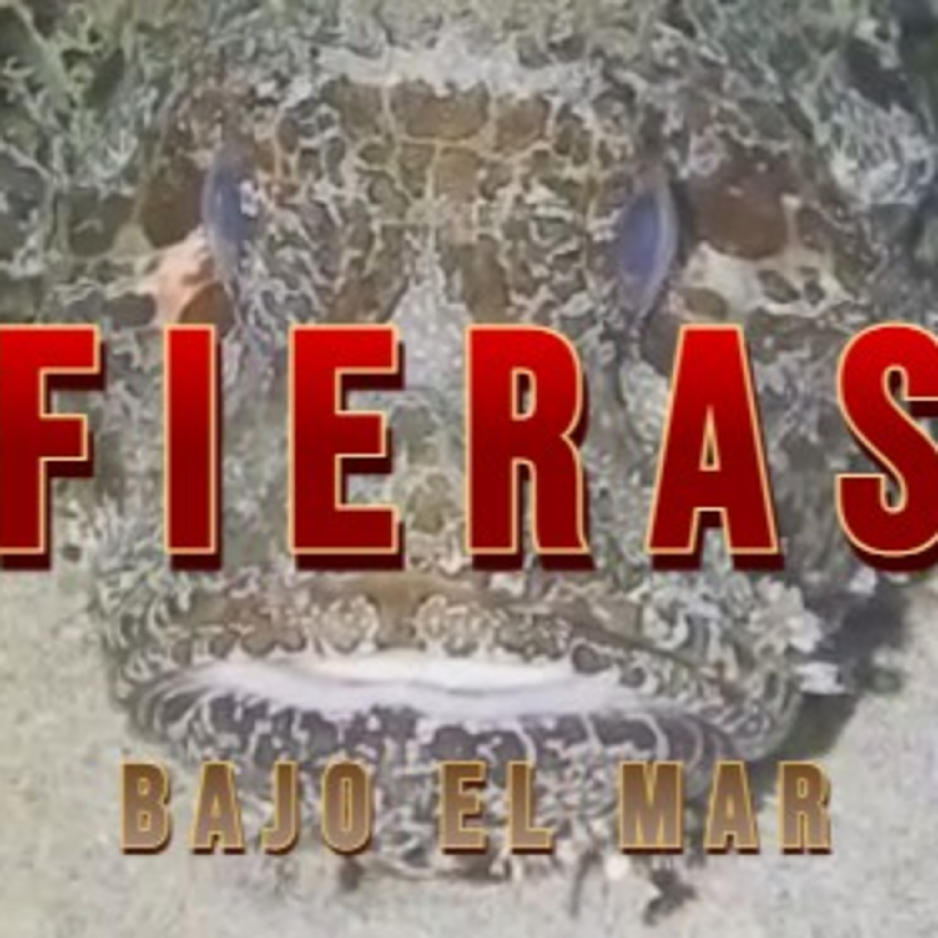 Fieras¿? bajo el mar! en "Danimalicos" episode artwork