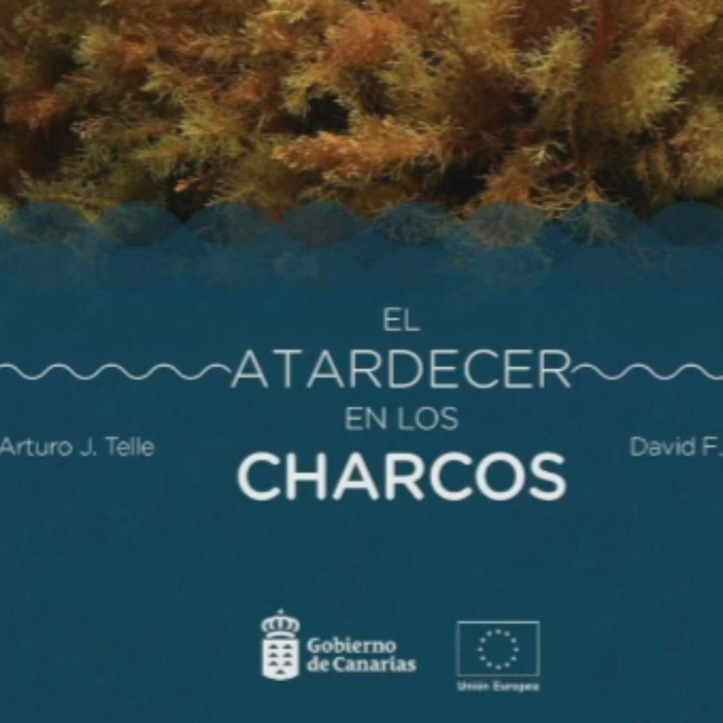 "El atardecer en los charcos" en Danimalicos episode artwork