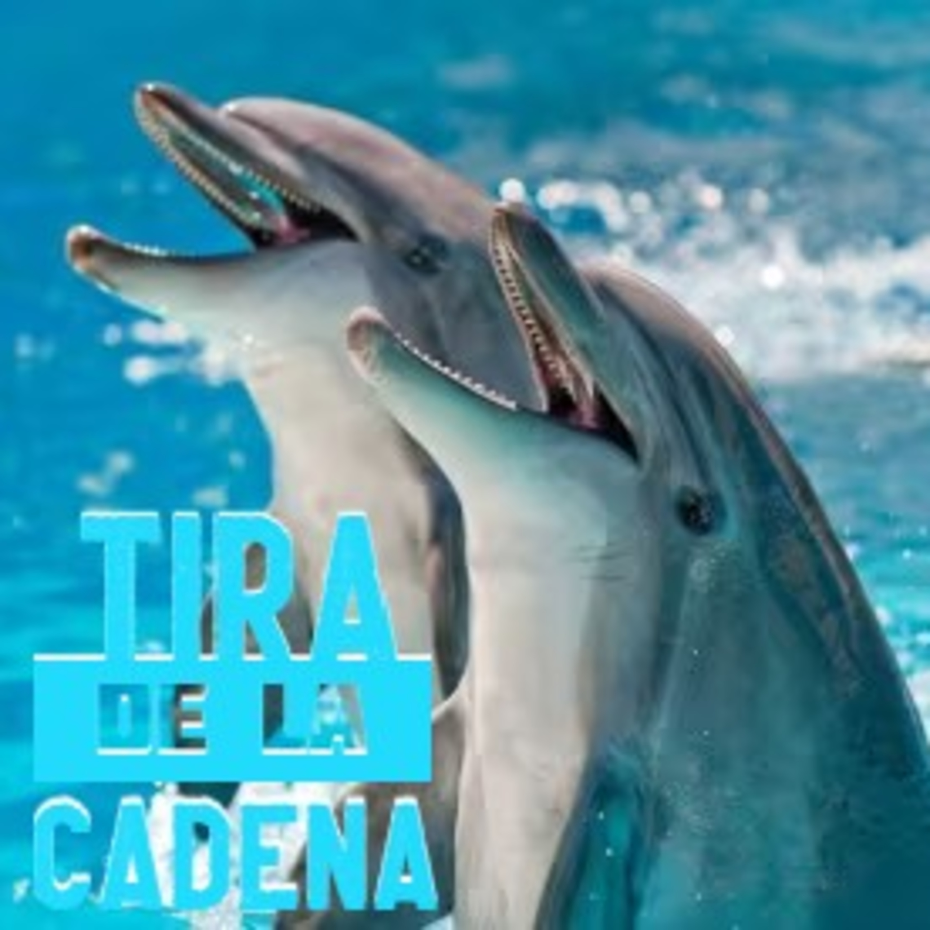 ¿Tienen los delfines la clave para la paz? en Tira de la Cadena episode artwork