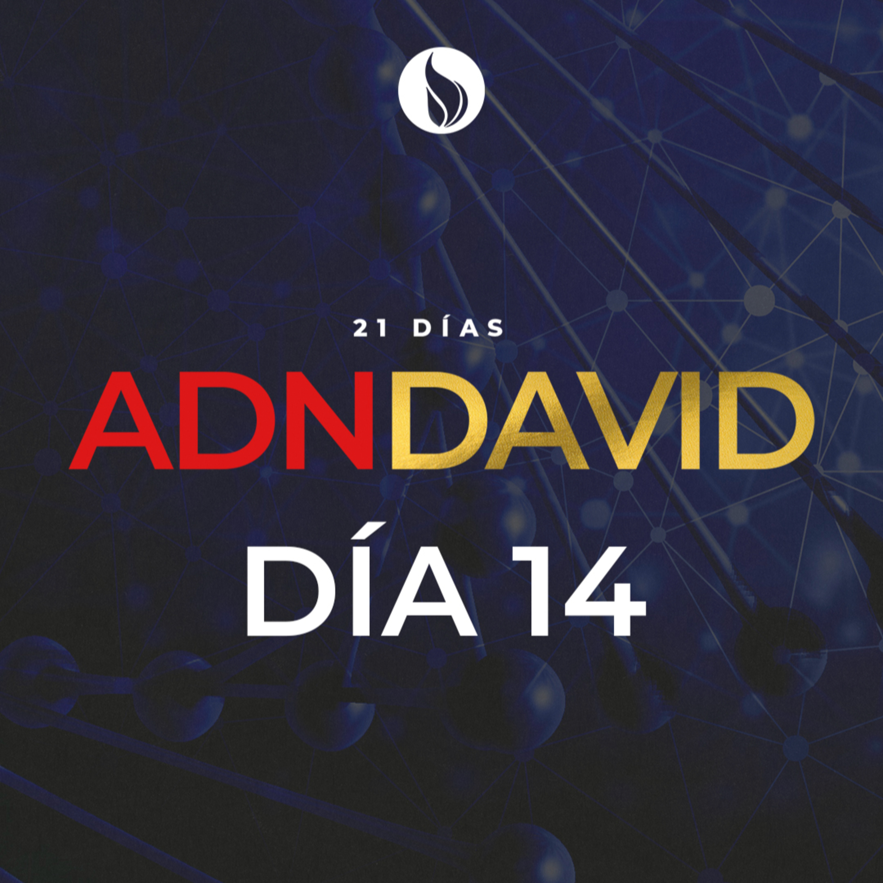 Adn David - Día 14 episode artwork