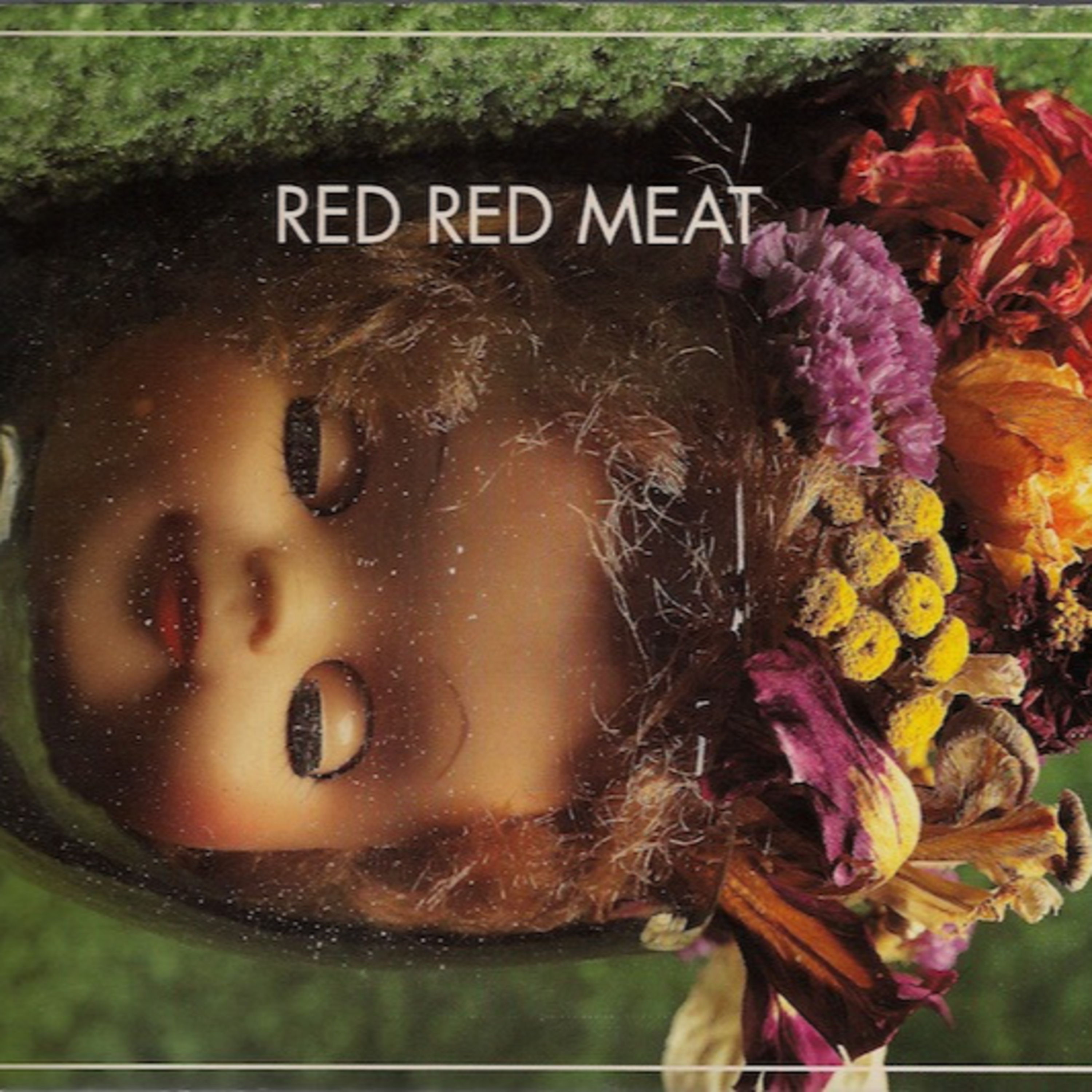V&V Ep. 141 Scott Levesque (Skyjelly/Wheat) discusses Red Red Meat's Bunny Gets Paid episode artwork