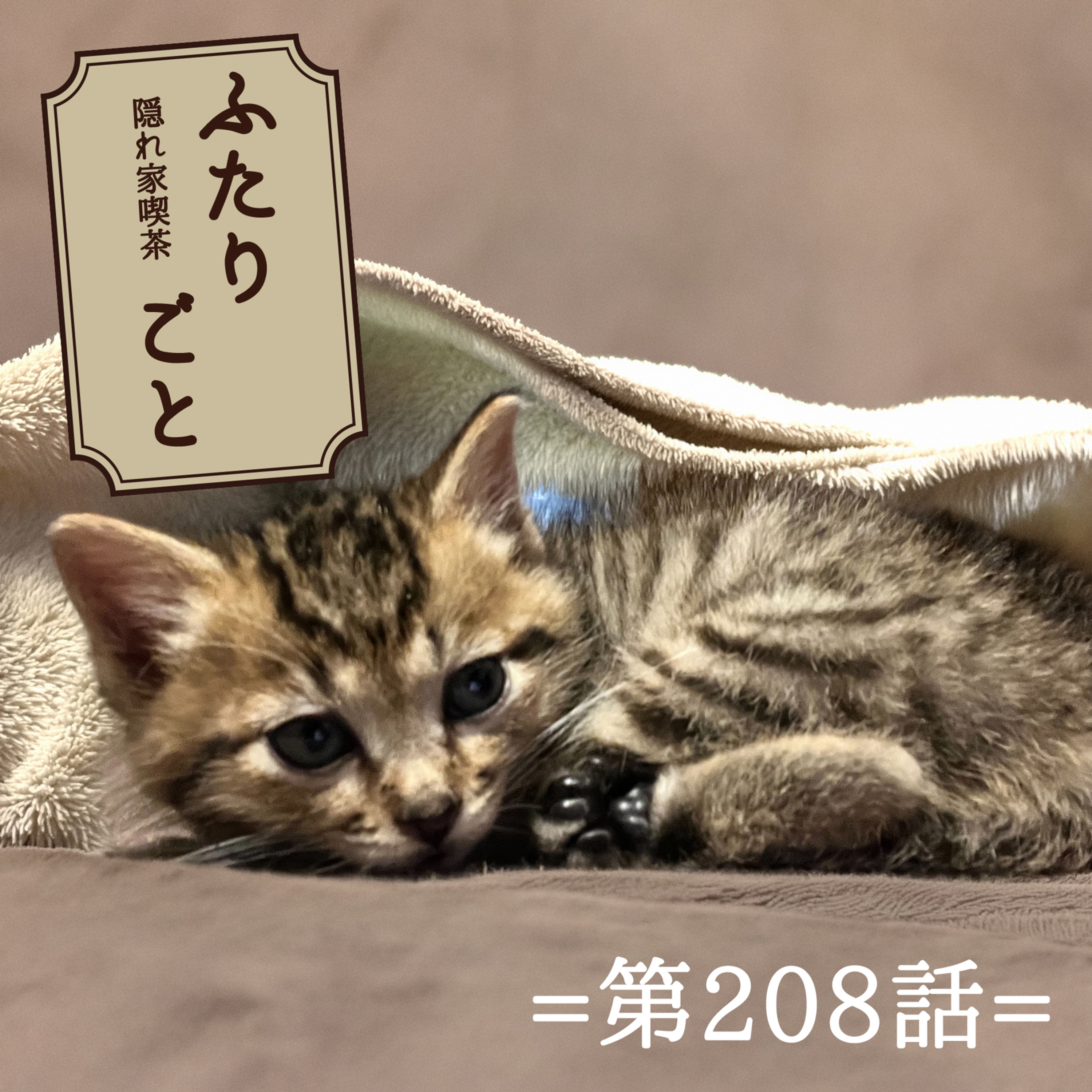 隠れ家喫茶 ふたりごと（第208話）：どうなる！？赤ちゃんにゃんこと「猫の尊さ」の話。 episode artwork