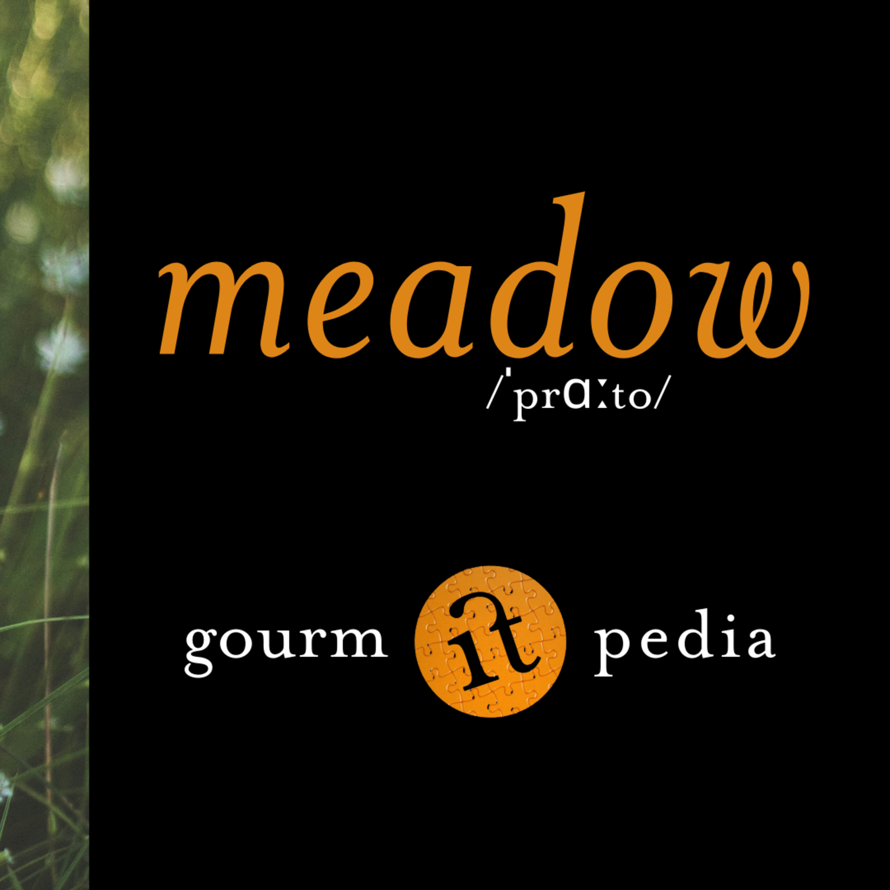 gourm.itpedia