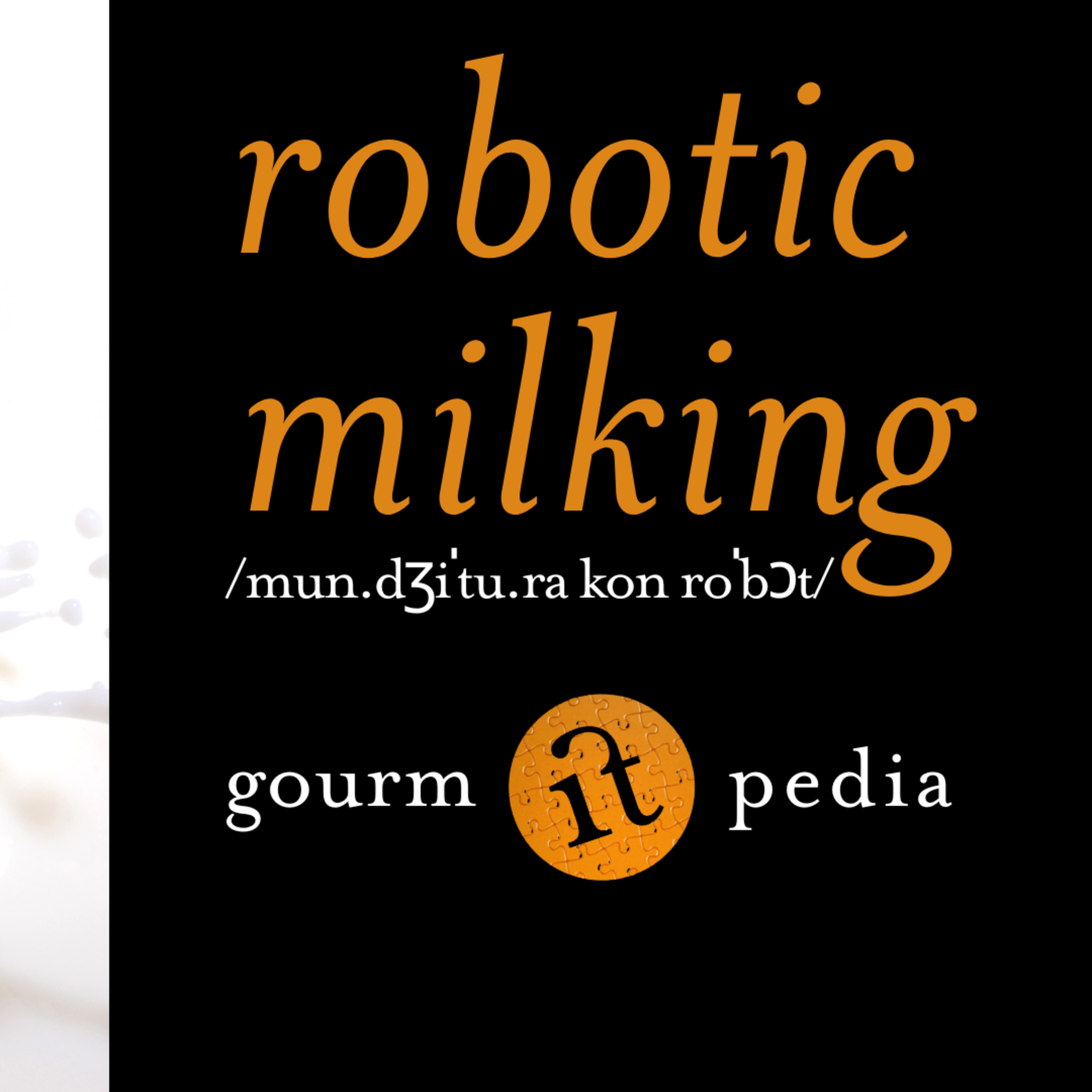 gourm.itpedia