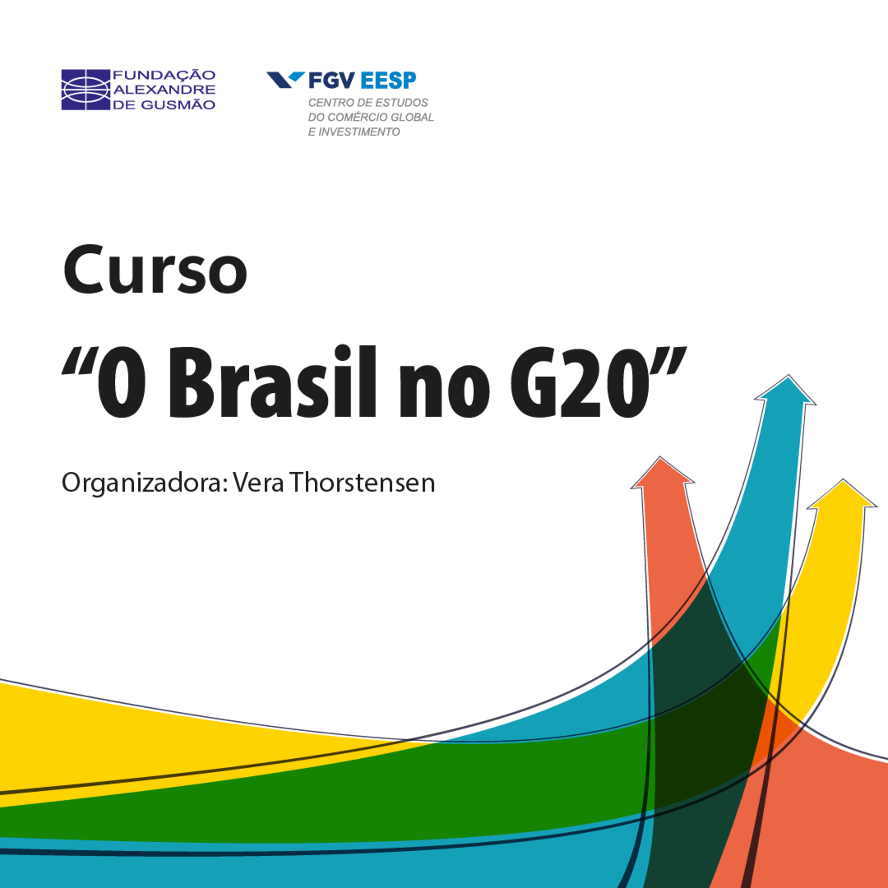 Curso - O BRASIL NO G20 | Entrevista - Embaixador Valdemar Carneiro Leão