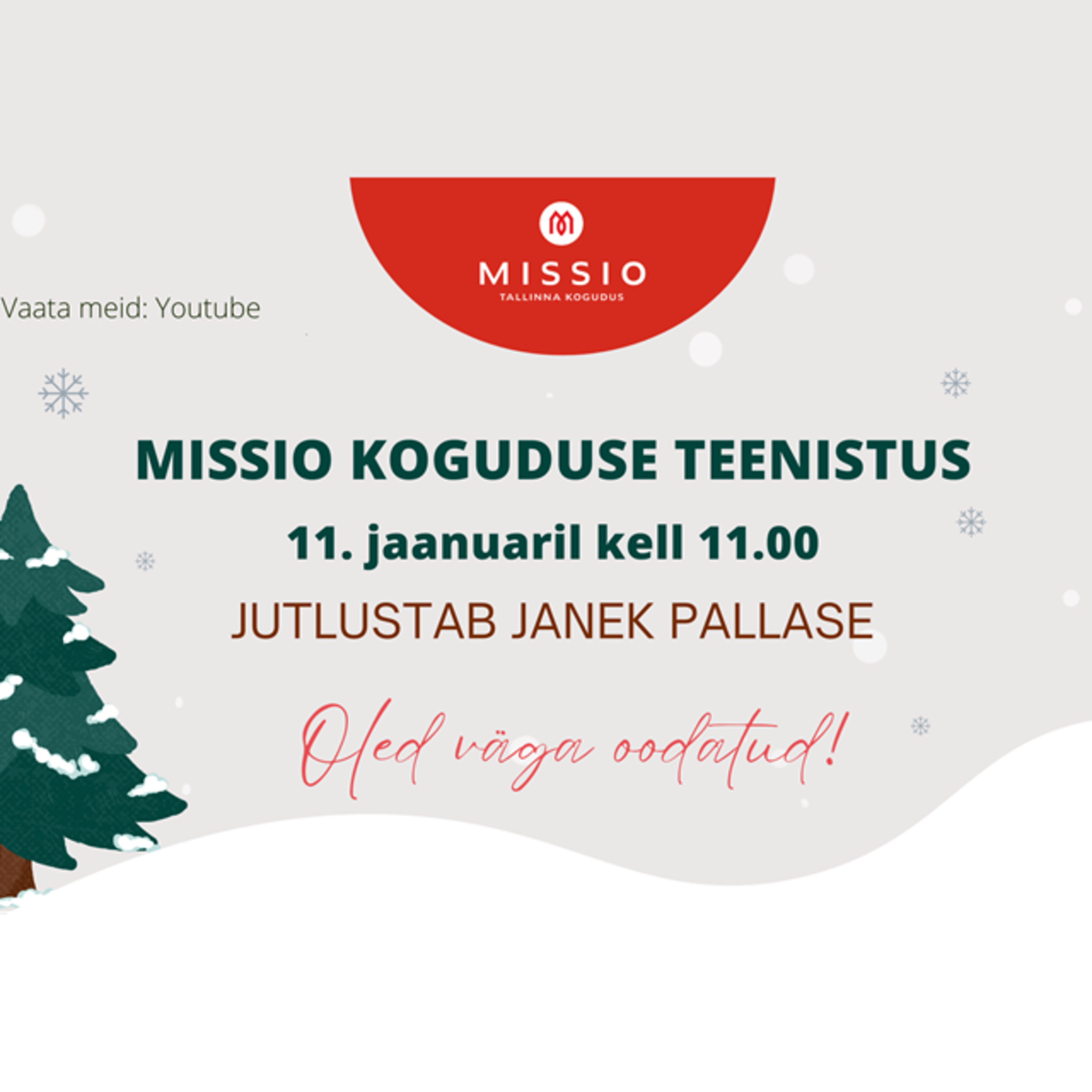 Janek Pallase "Vaatame peeglisse"