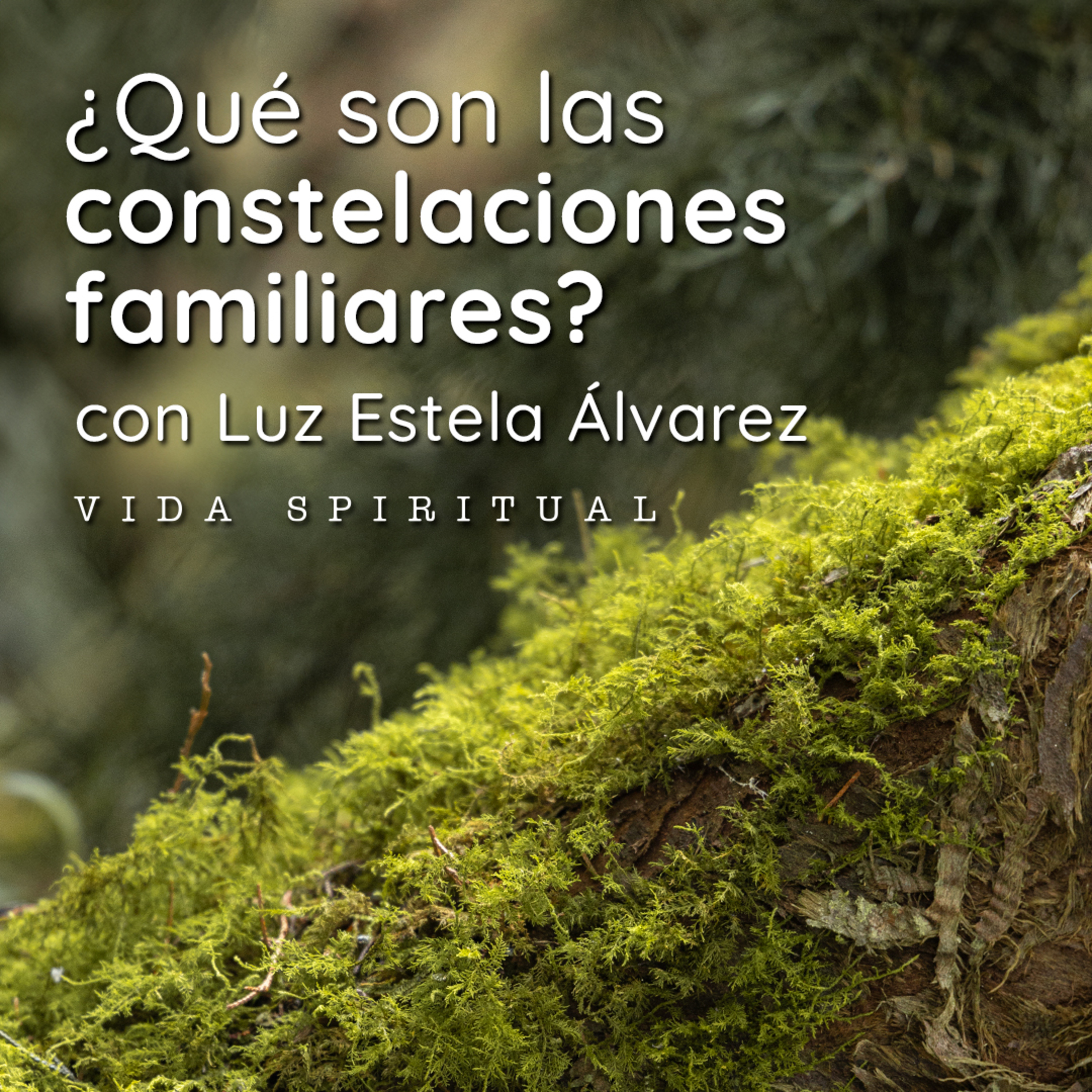 ¿Qué son las Constelaciones Familiares? episode artwork
