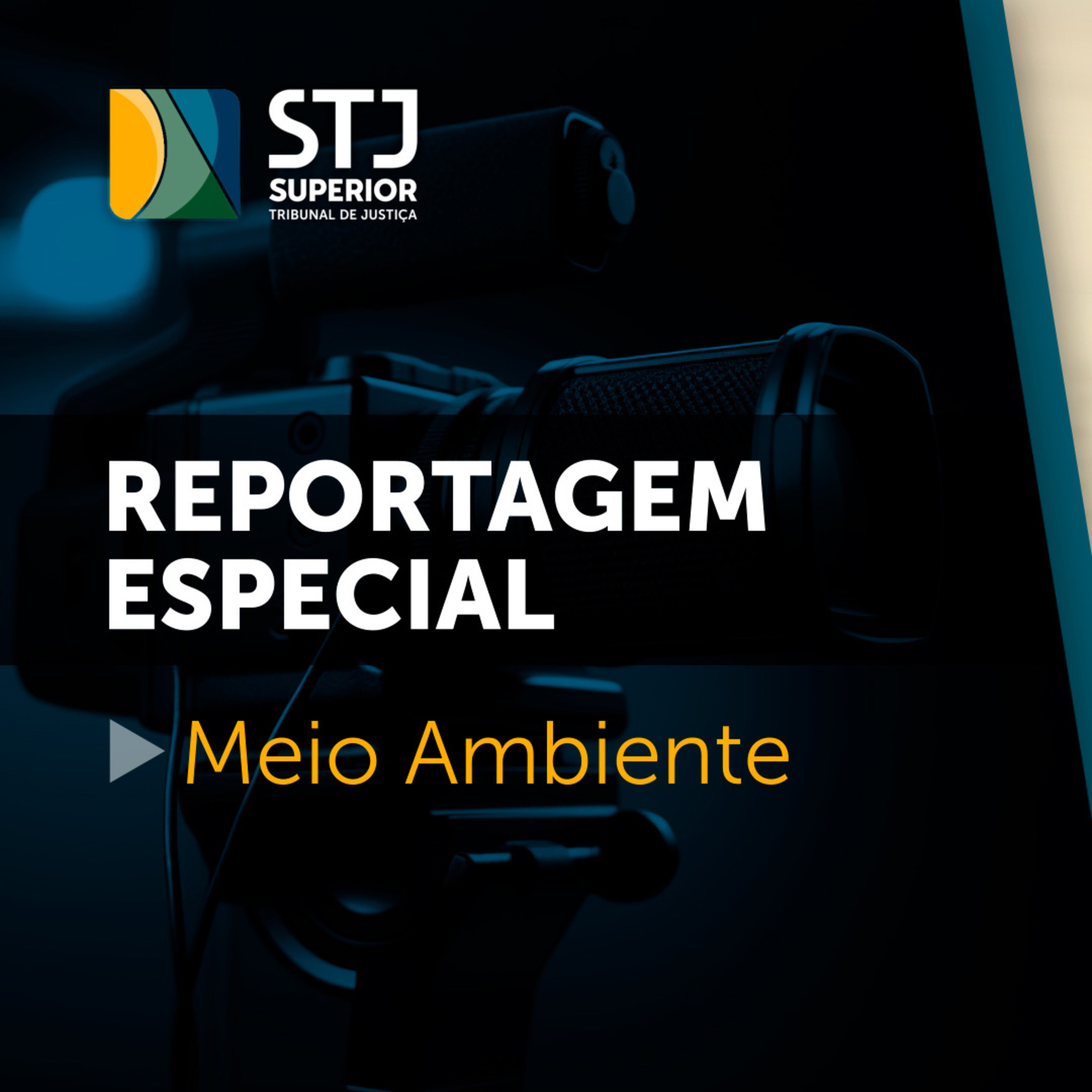 Superior Tribunal de Justiça
