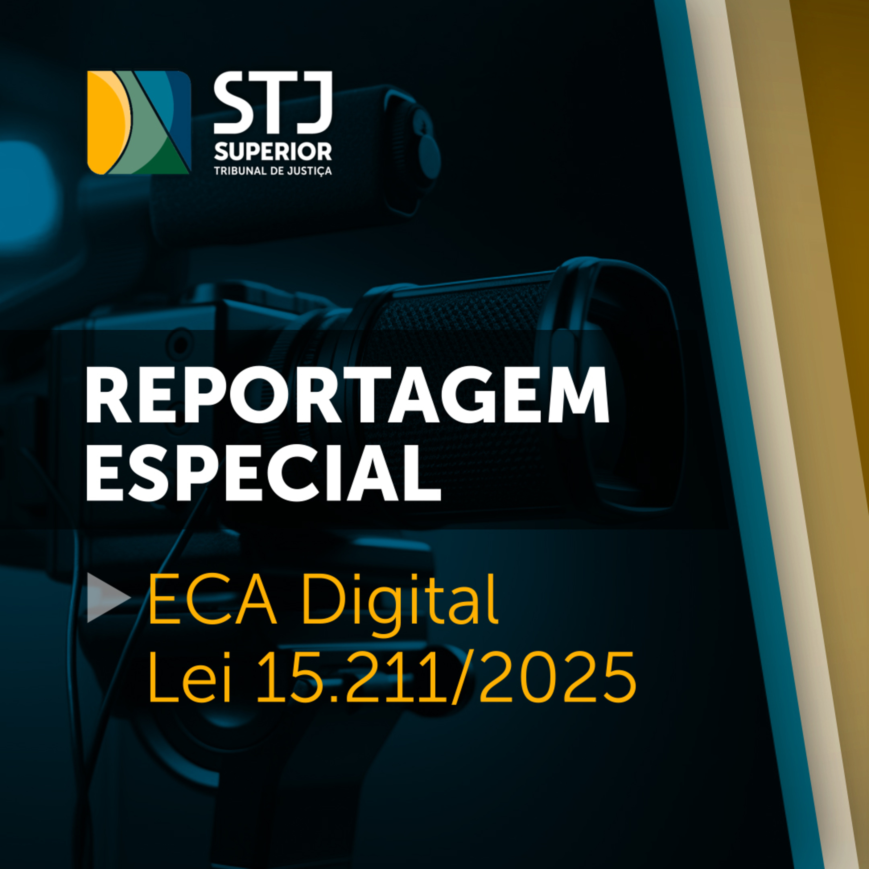 Especial: Proteção de crianças e adolescentes no ambiente digital episode artwork