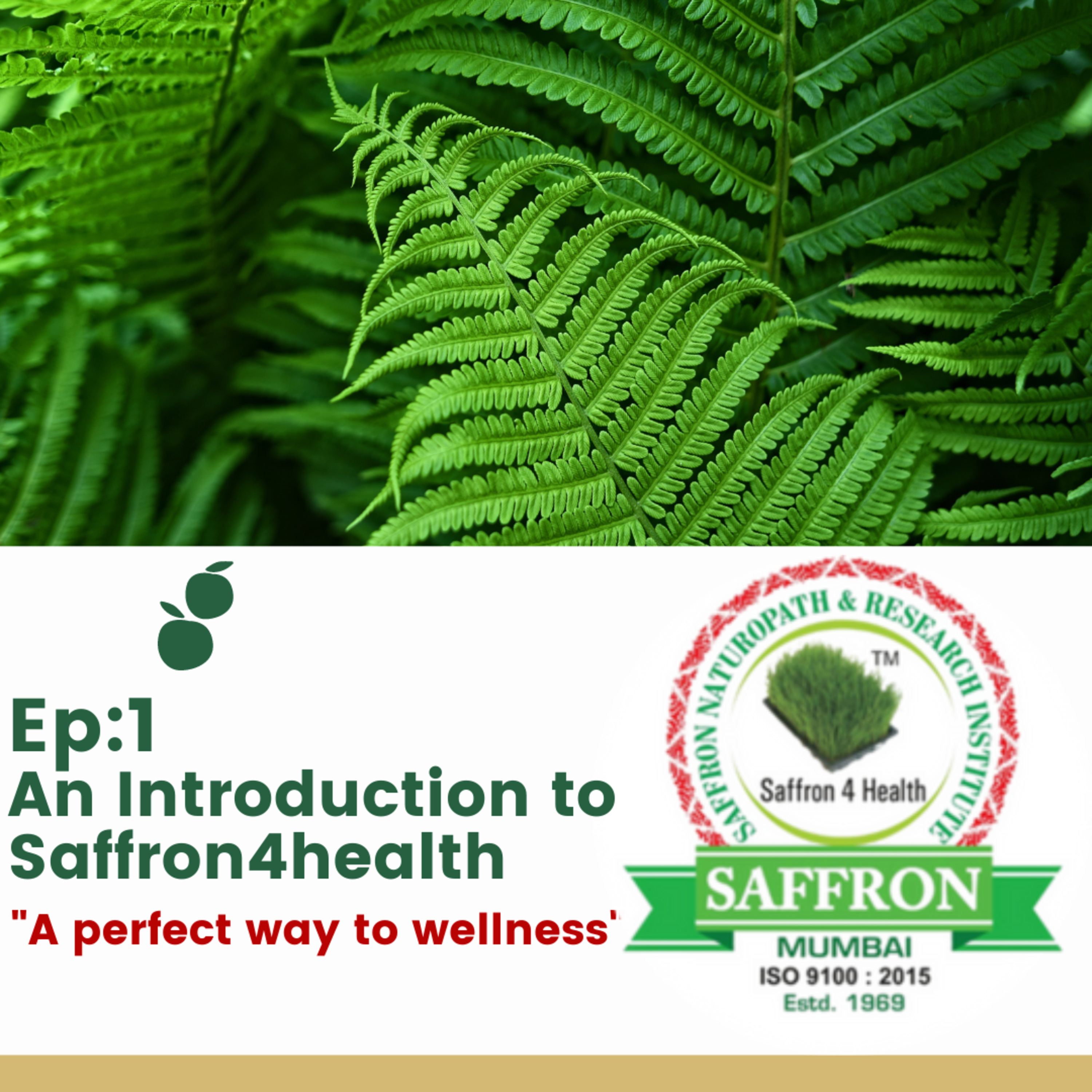Saffron4Health - A Perfect Way TO Wellness