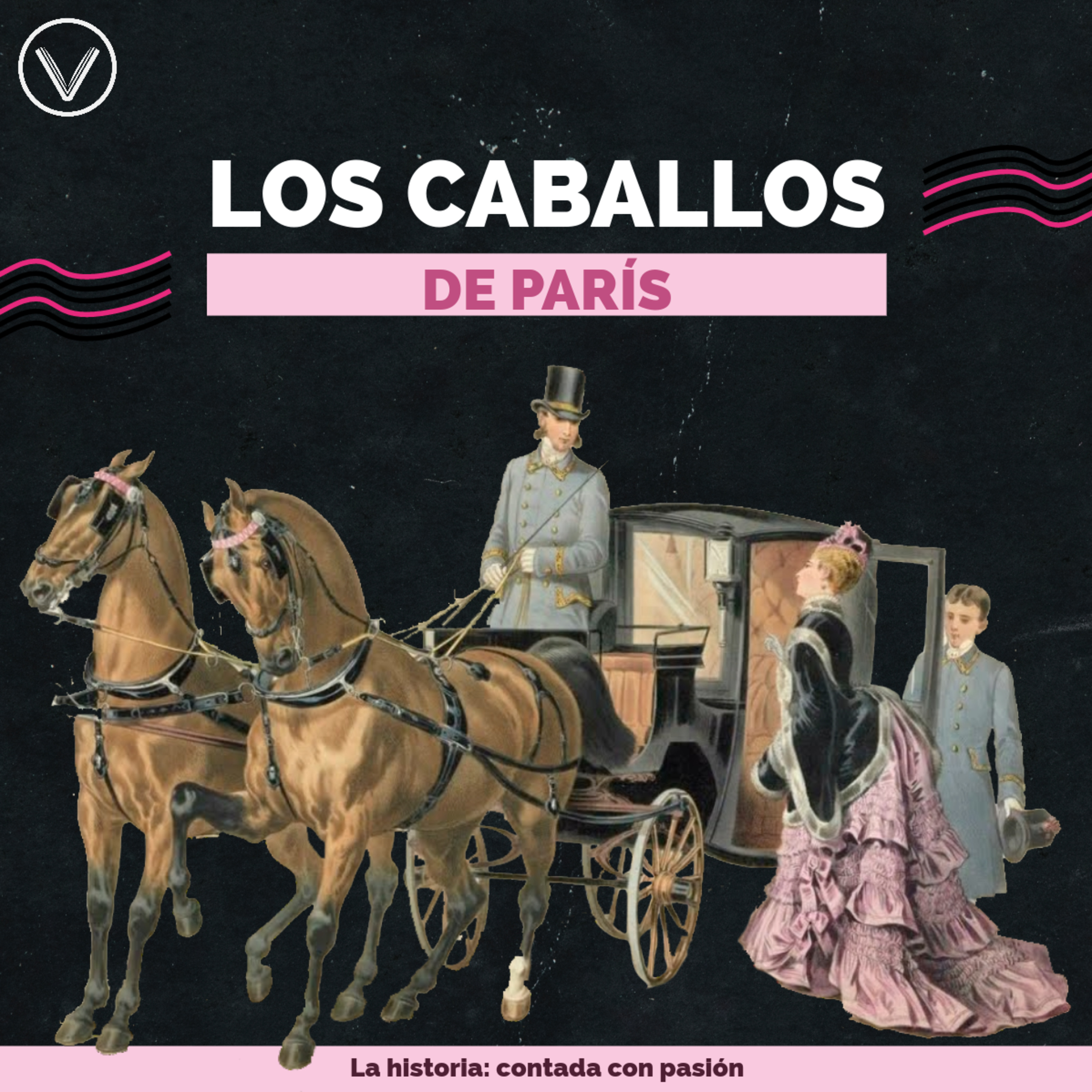 🐎 Historia de los caballos de París 🌆