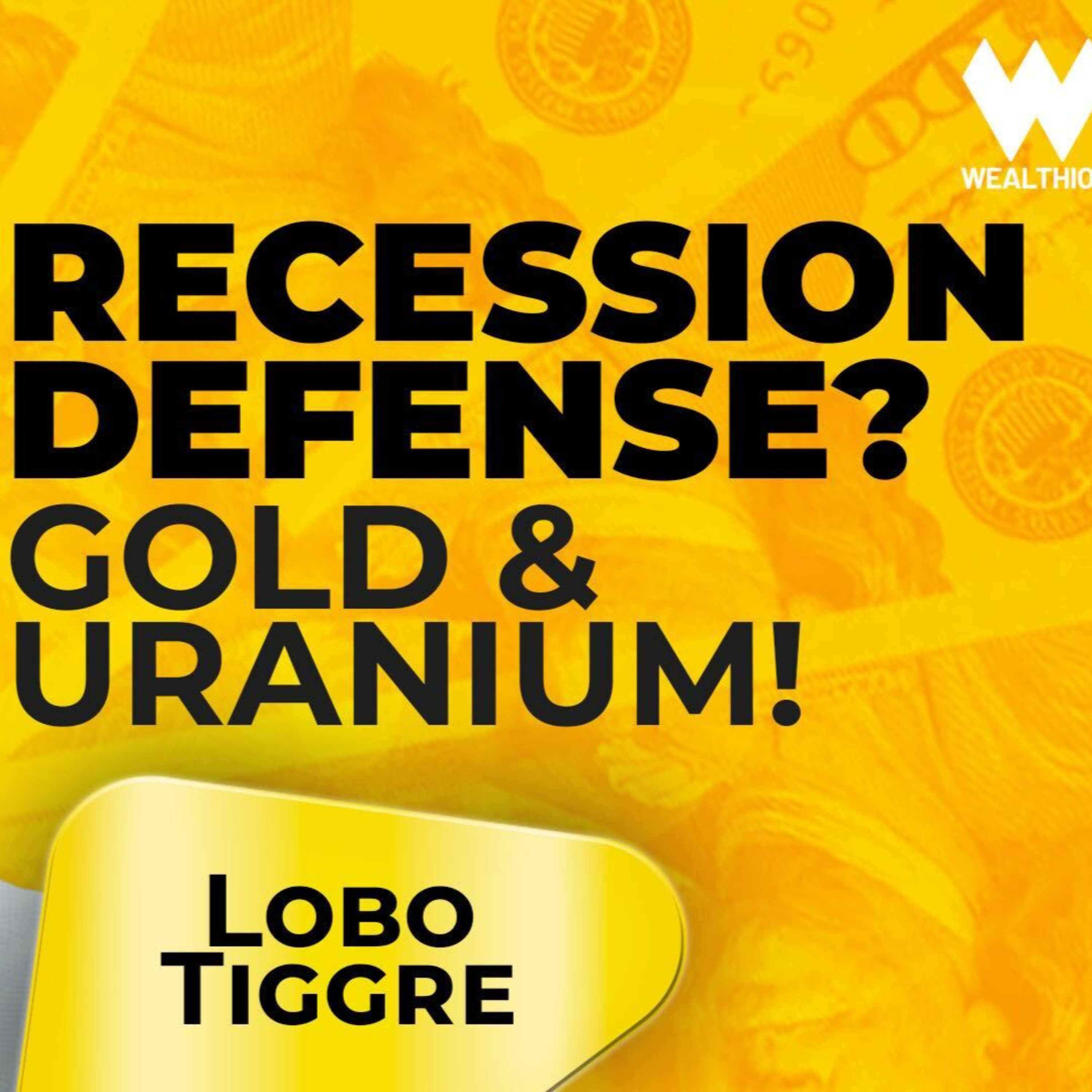 Lobo Tiggre: Recession Is Here – Why Gold & Uranium Are Your Best Bets Episode cover